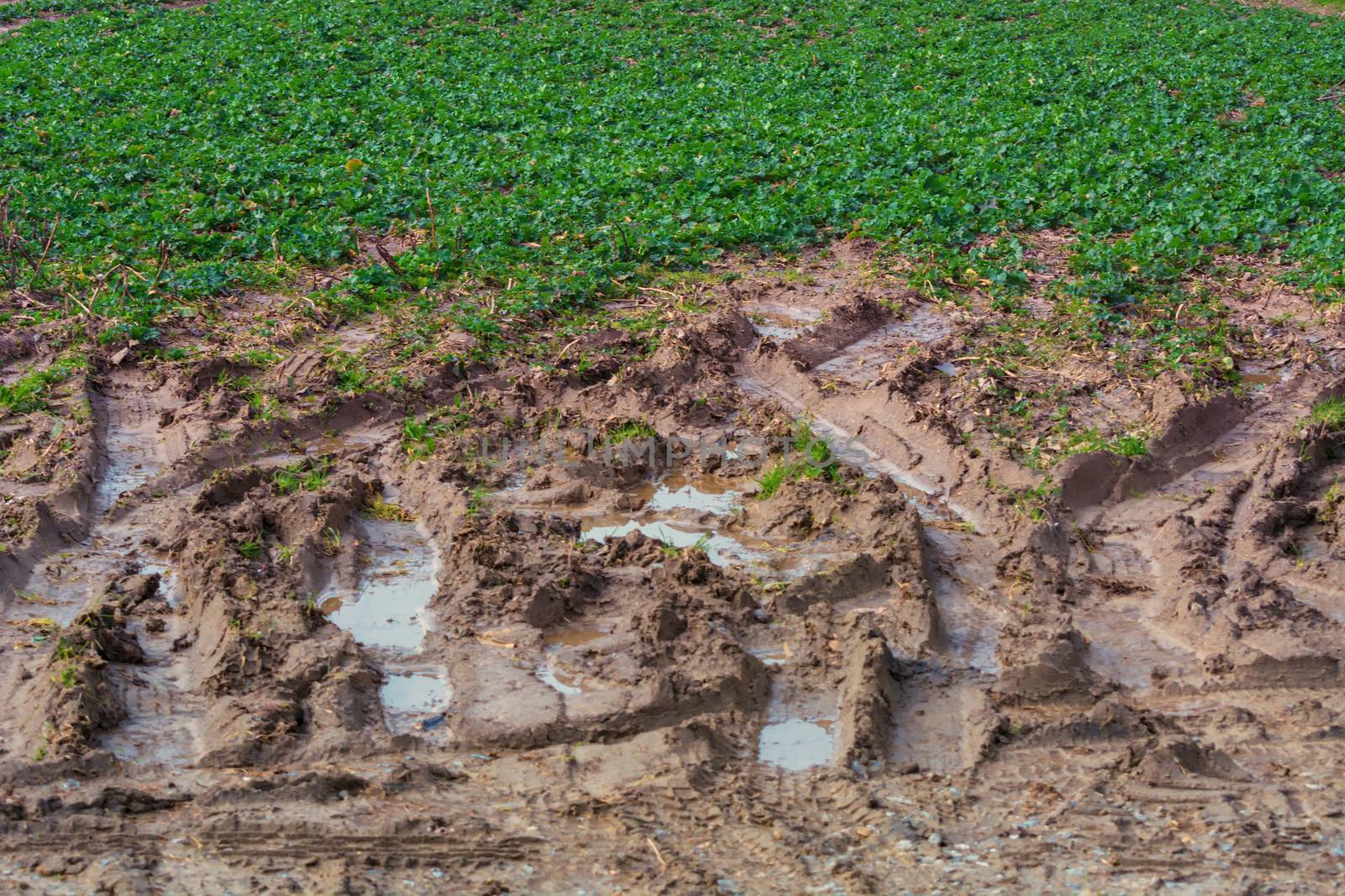 Foot traces and tire marks in the mud         by JFsPic