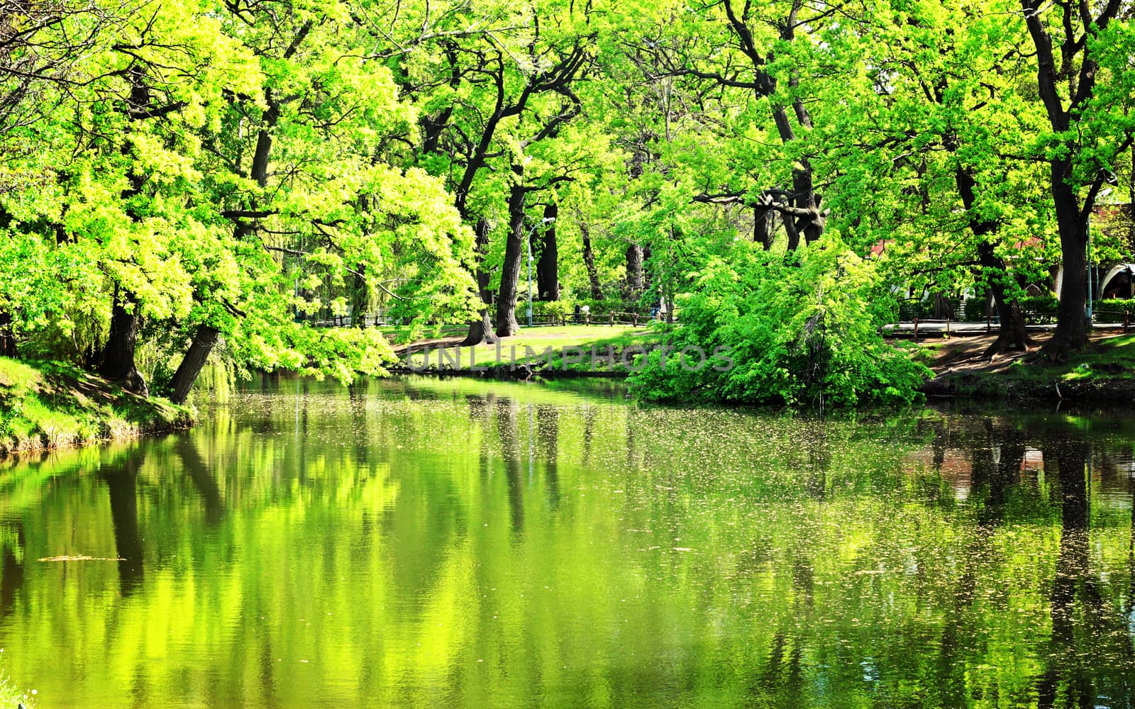 View of a small lake in the city park in the spring.