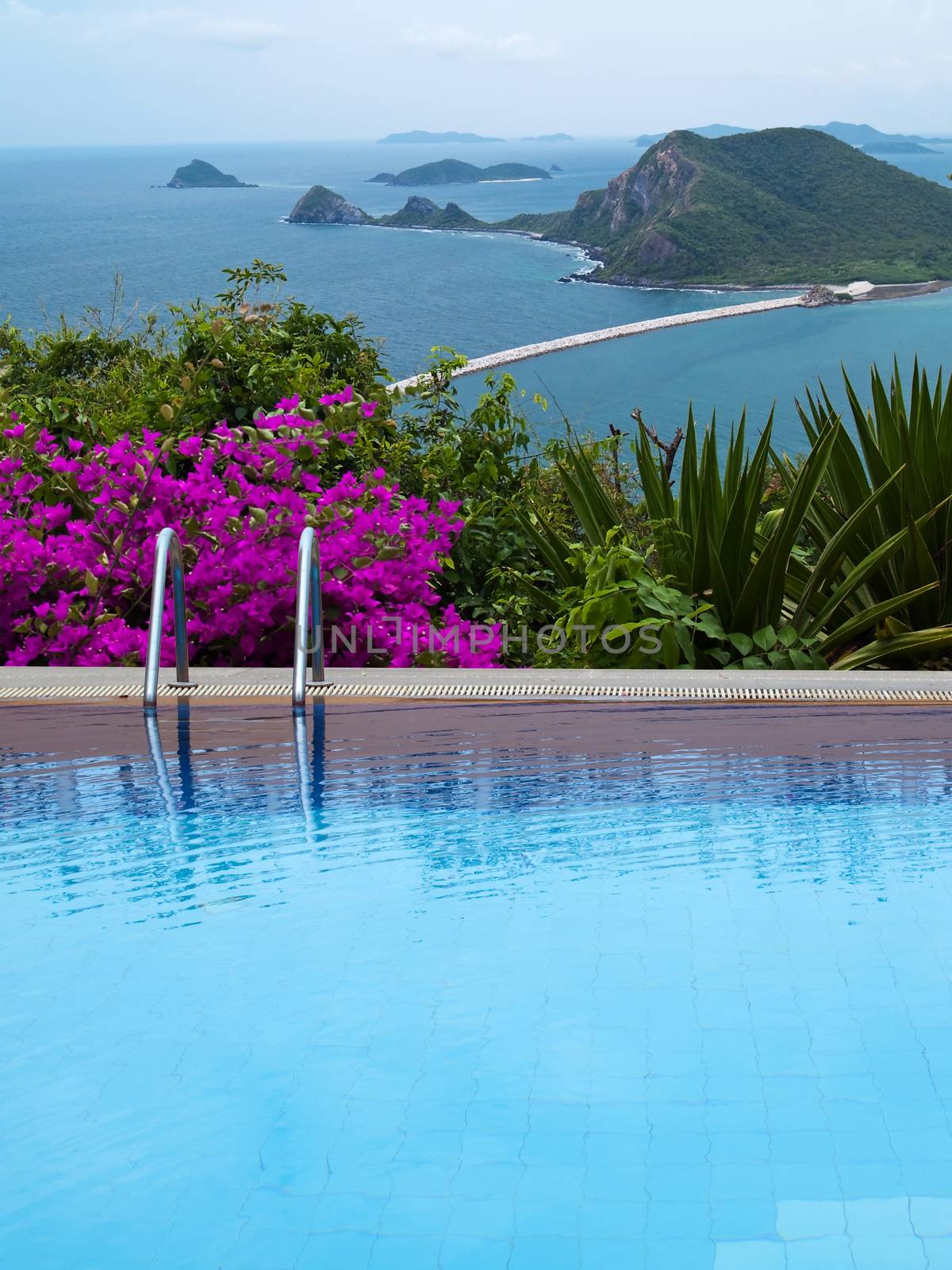 Outdoor swimming pool with island in gulf