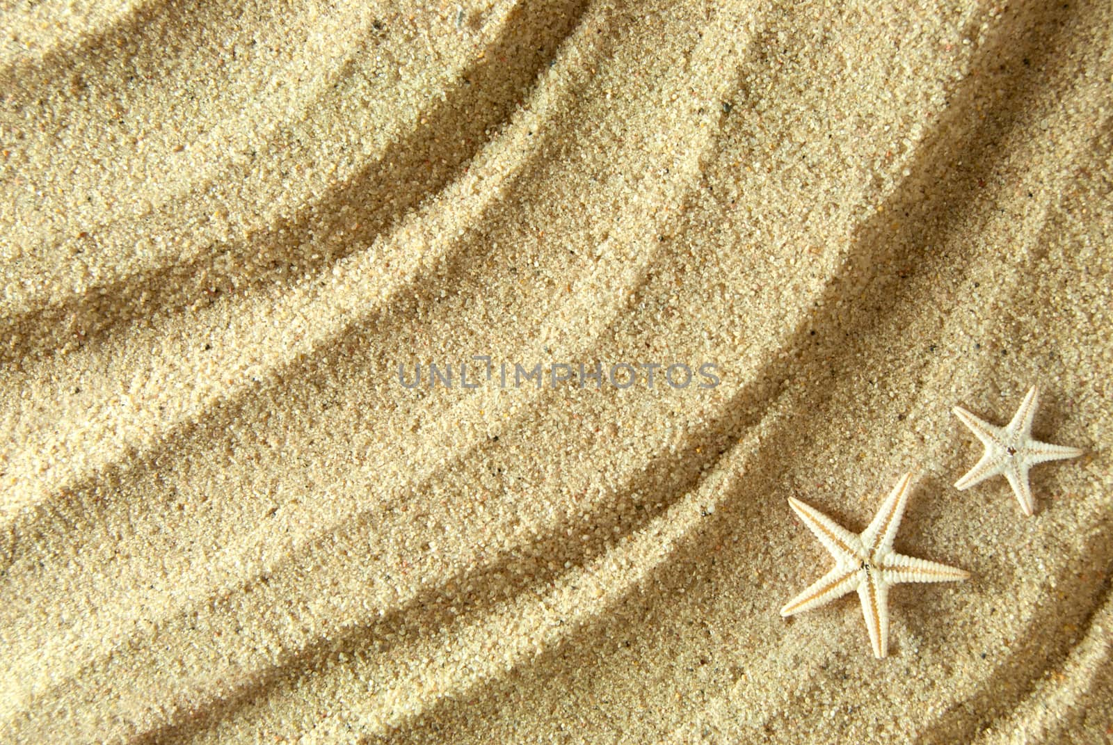 Starfish shells background by unikpix