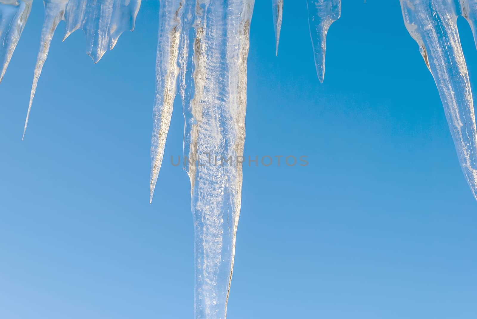 iced stalactites in a clear cold day in winter