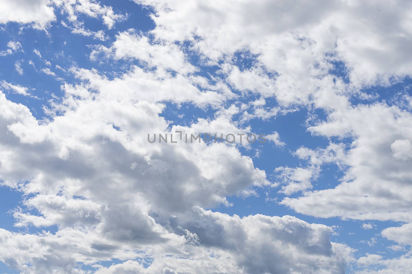 White big clouds in a bright blue sky close-up