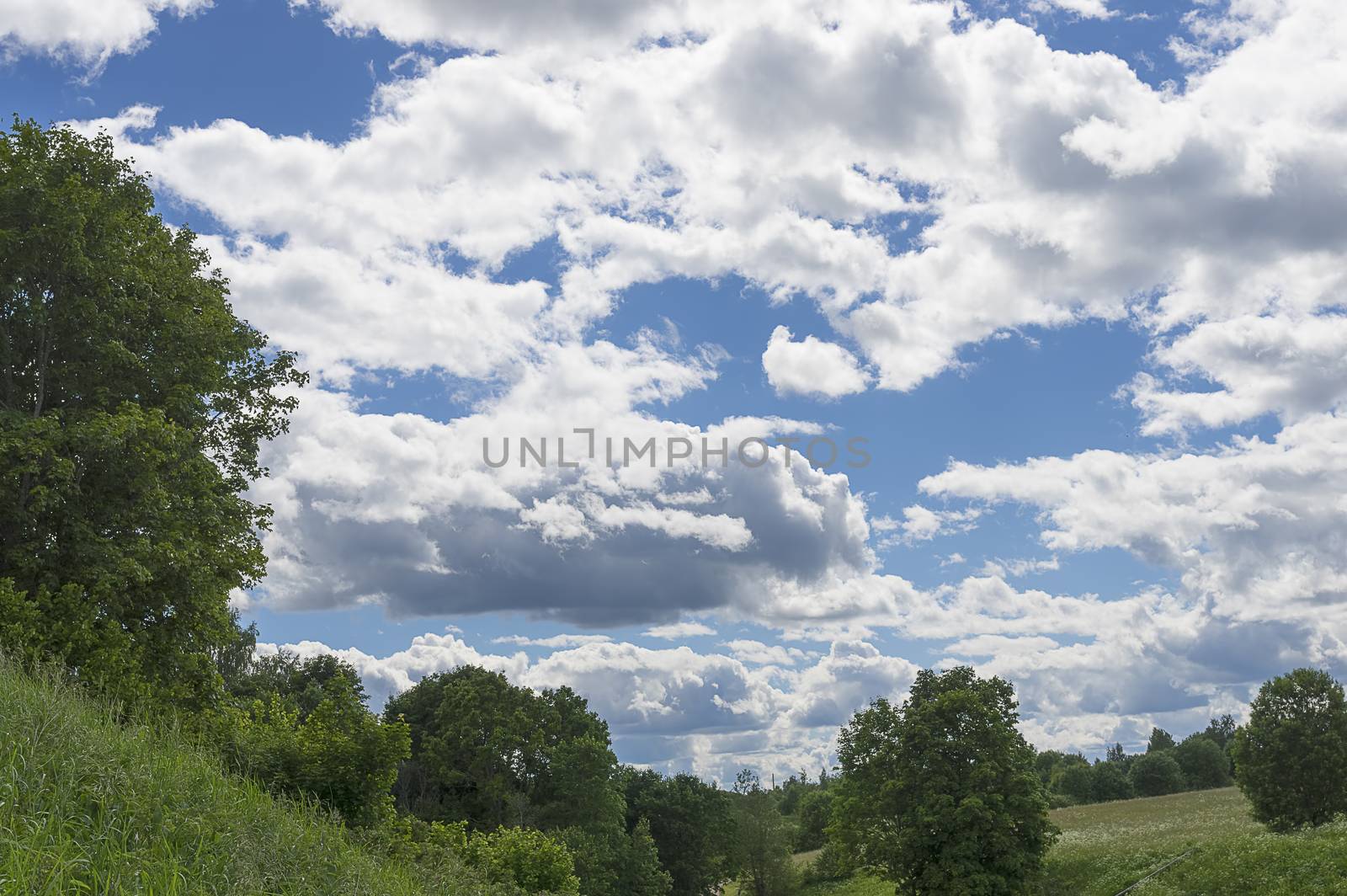 White big clouds in a bright blue sky close-up