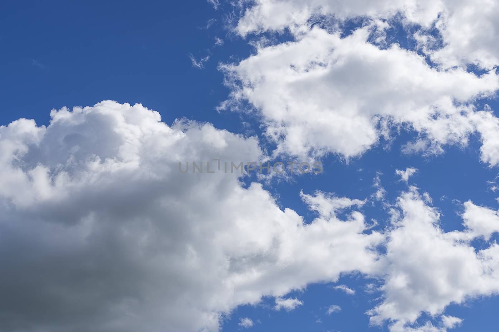 White big clouds in a bright blue sky close-up