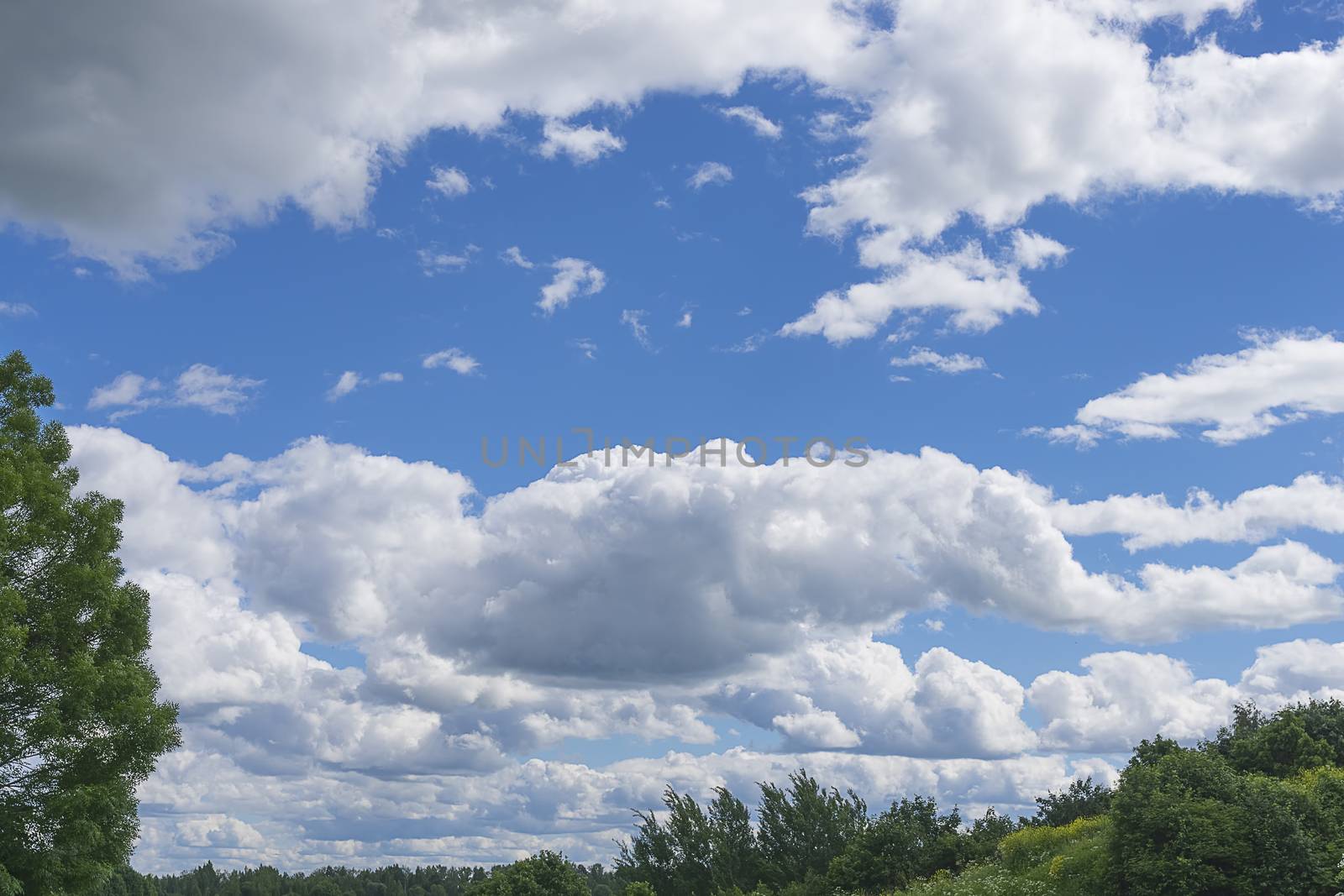 White big clouds in a bright blue sky close-up