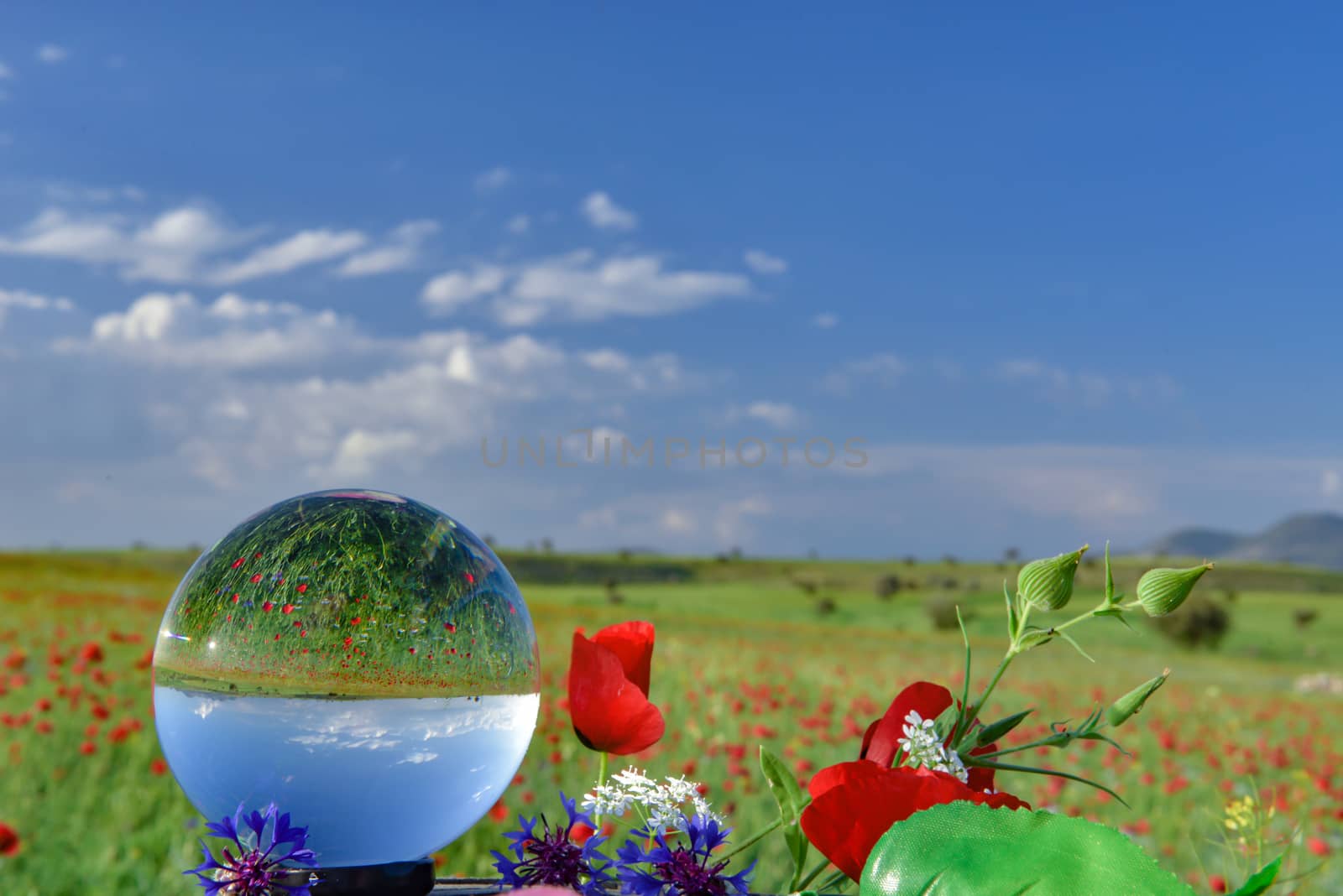 poppy fields,flowers and crystal quartz