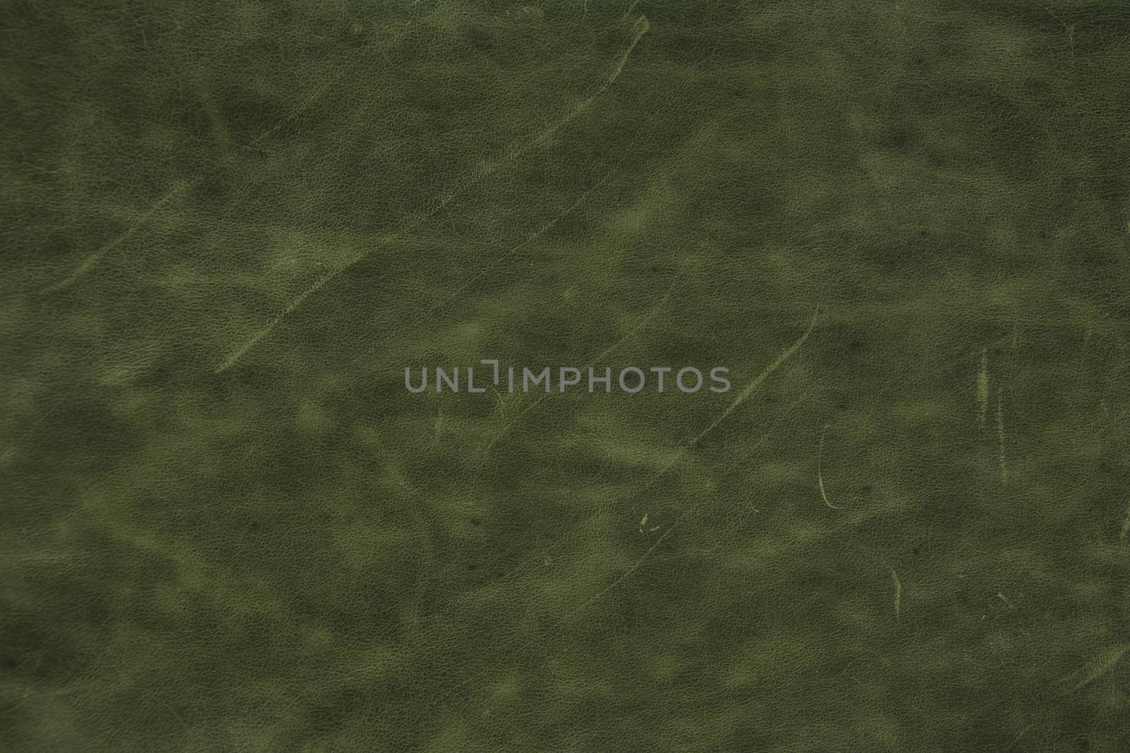 green leather texture background 