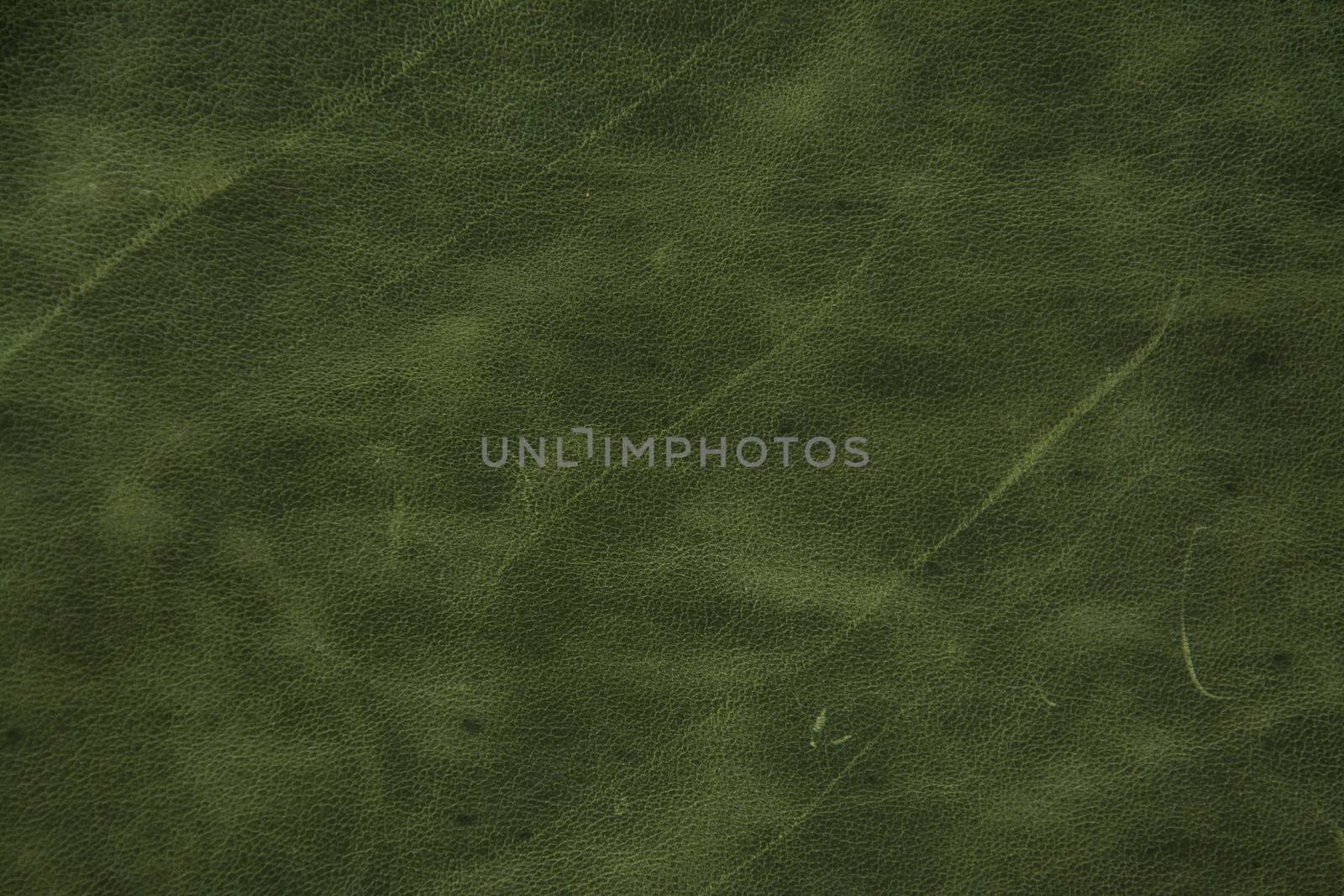 green leather texture background 