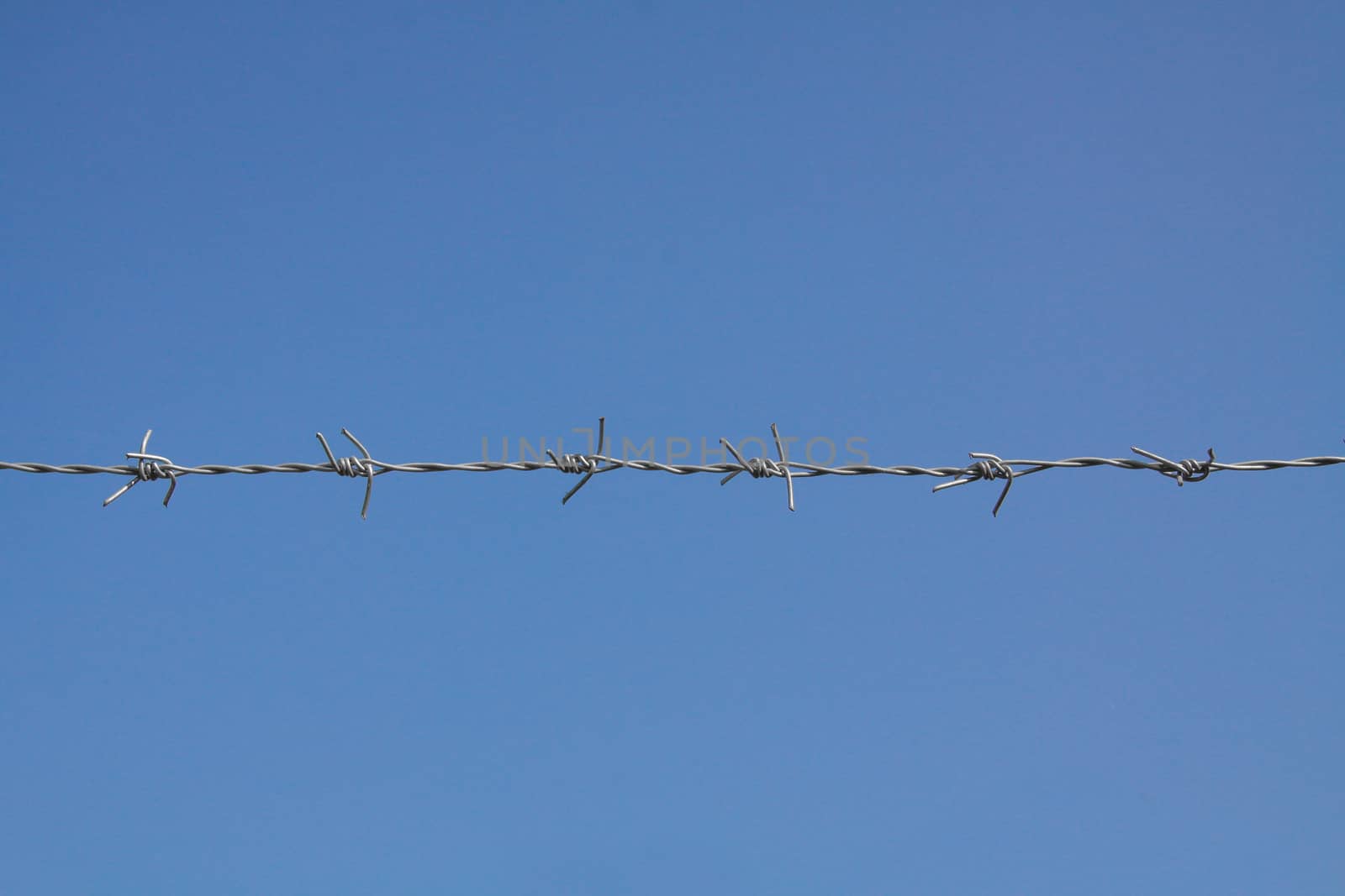 barbed fence with blue sky