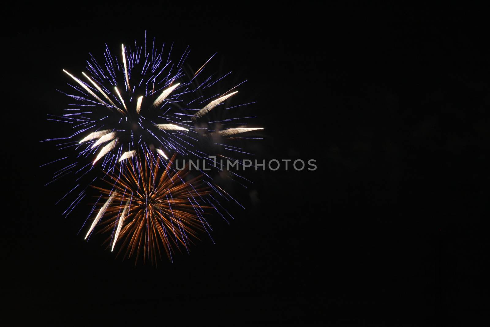 beautiful firework of celebration, festival, holiday, season on black sky