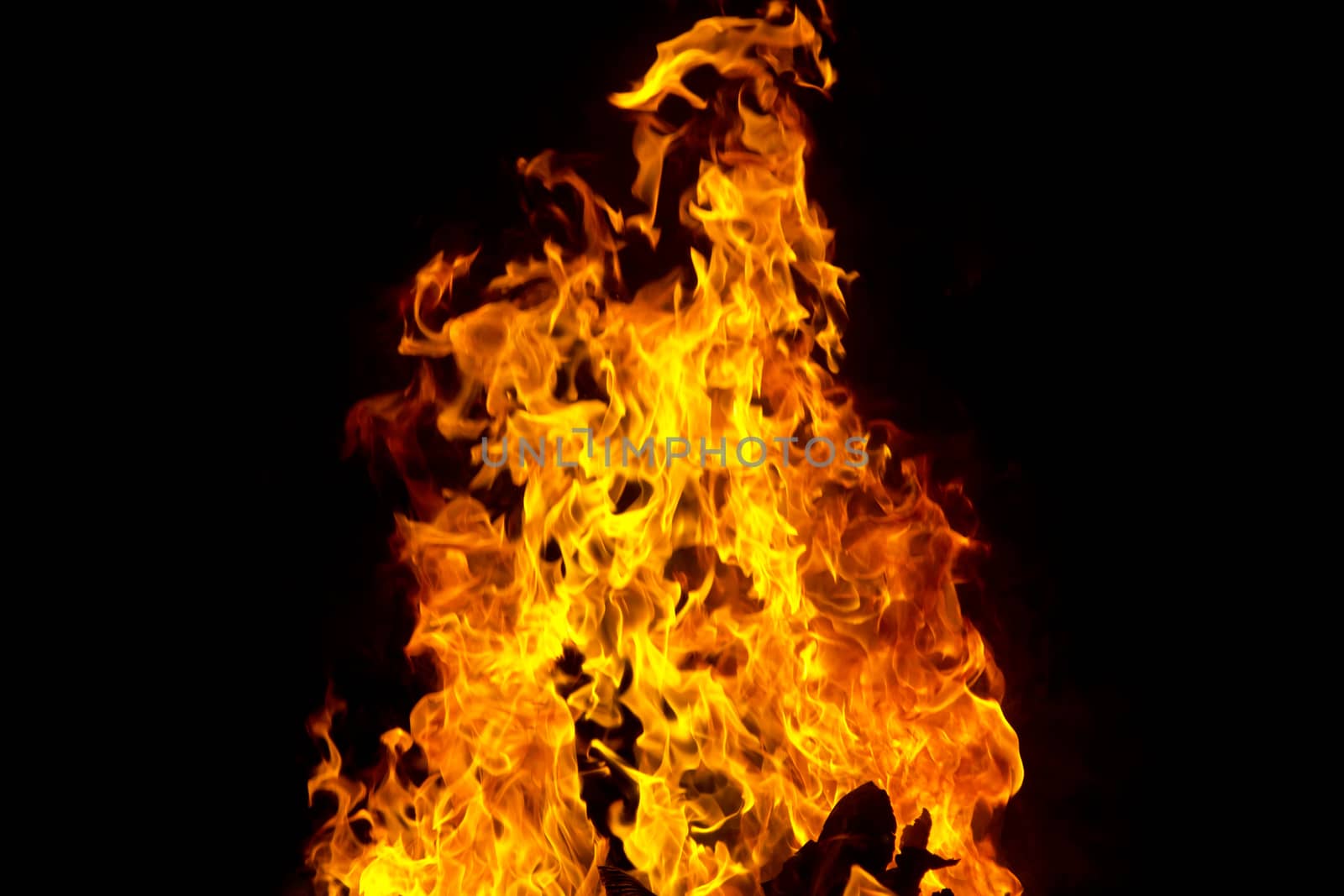 Photo of red fire flame on black background
