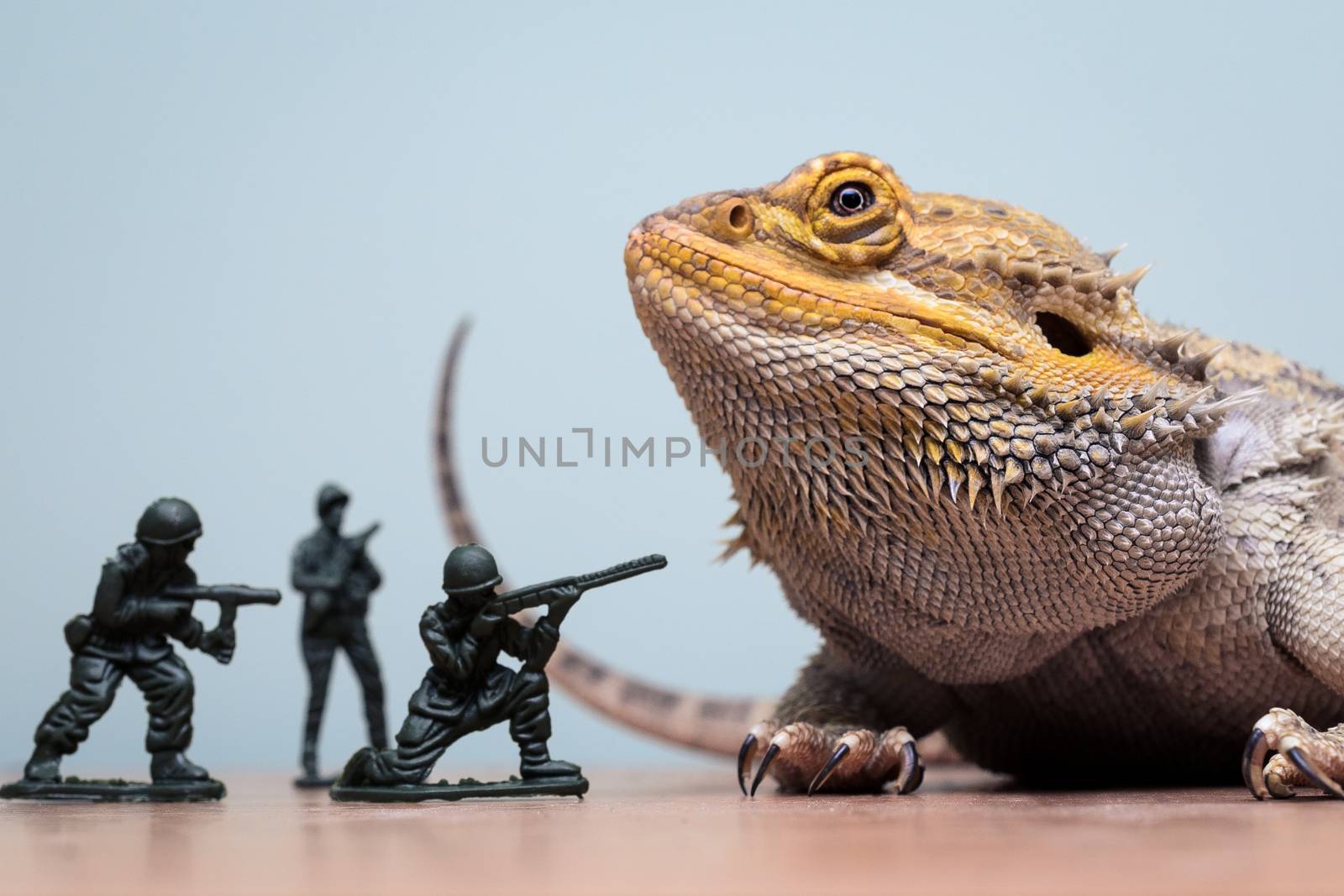 bearded dragon monster attacked by plastic soldiers