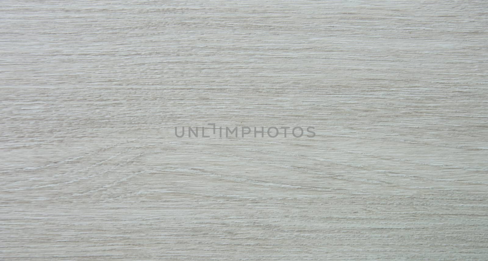 grey wood texture
