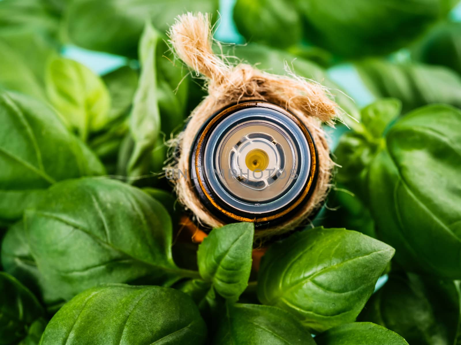 Brown glass bottle of basil essential oil with fresh green basil leaves. Top view or flat lay. Copy space.