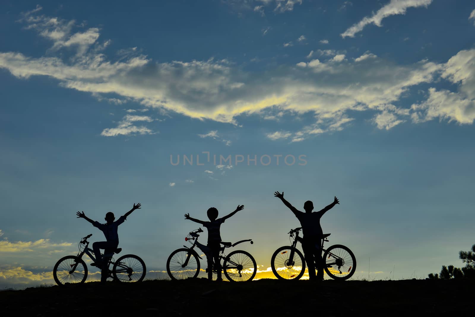 bike in nature group by crazymedia007