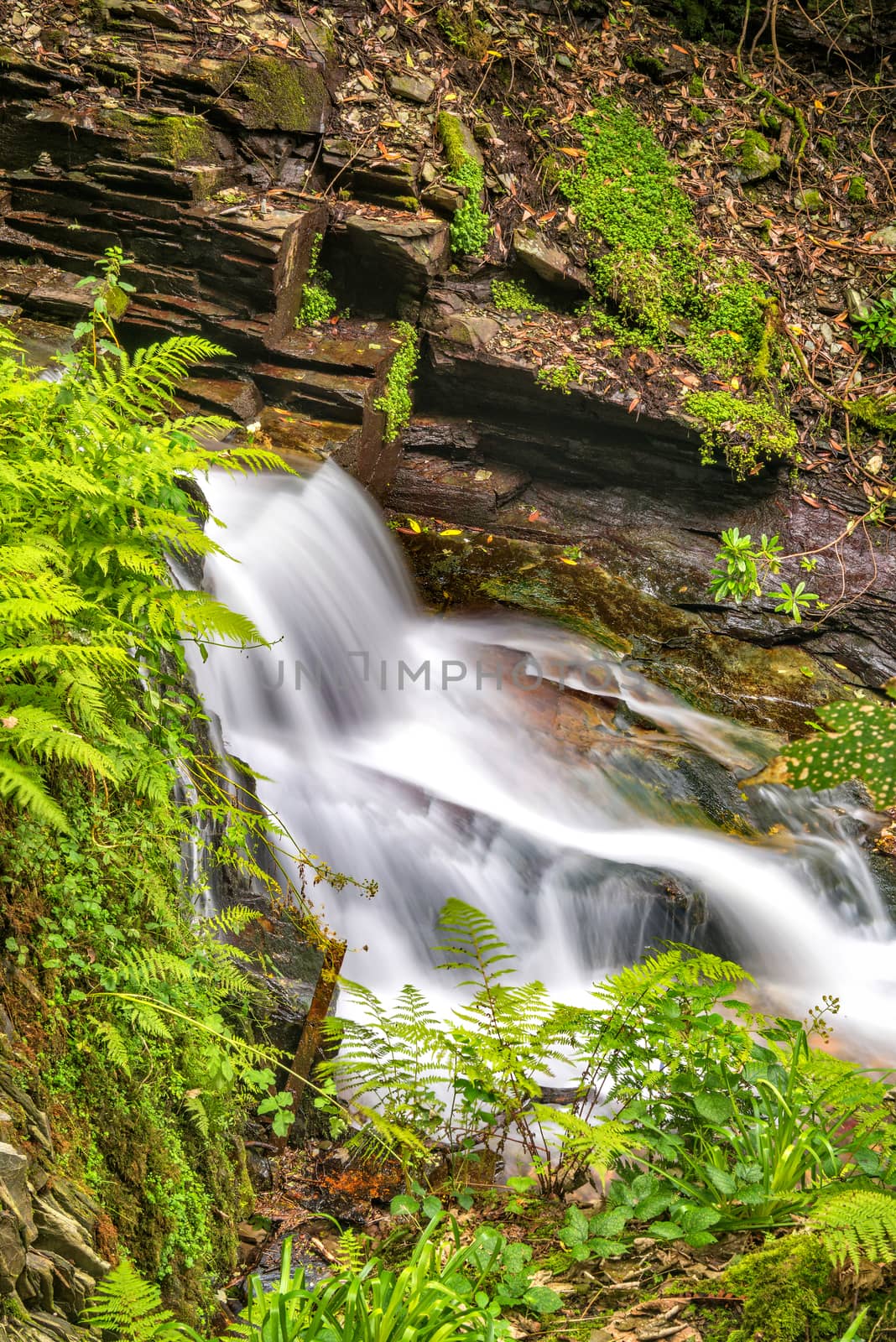 Waterfall in St Nectan's Glen by Valegorov