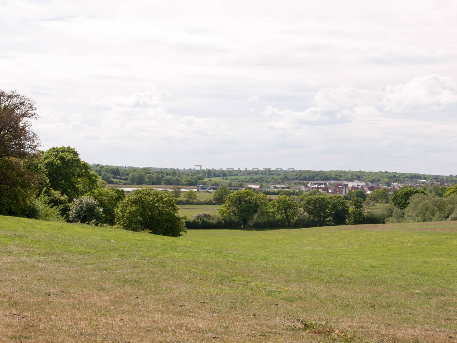 a big open field of grass with trees and river in the distance on a sunny afternoon in spring landscape with no people in essex england uk