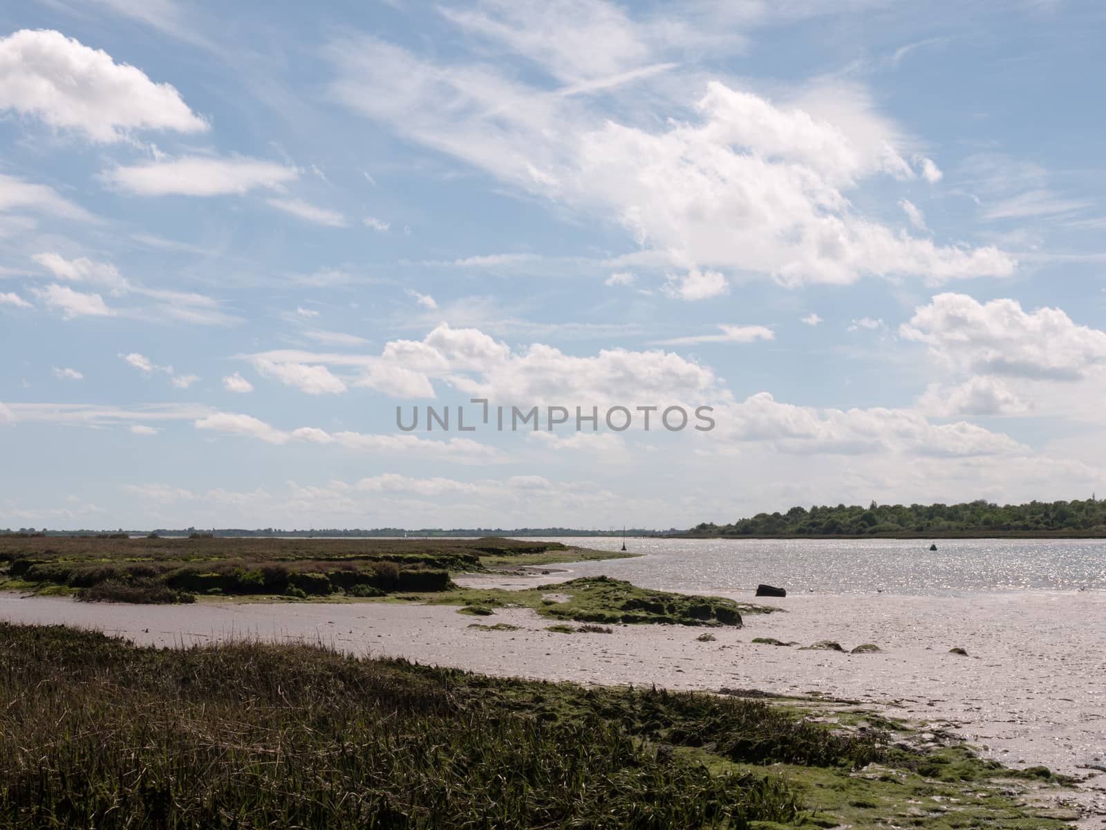 a river side and bank scene with no people beautiful looking nature landscape on a sunny day heaven and peace outside country essex england uk