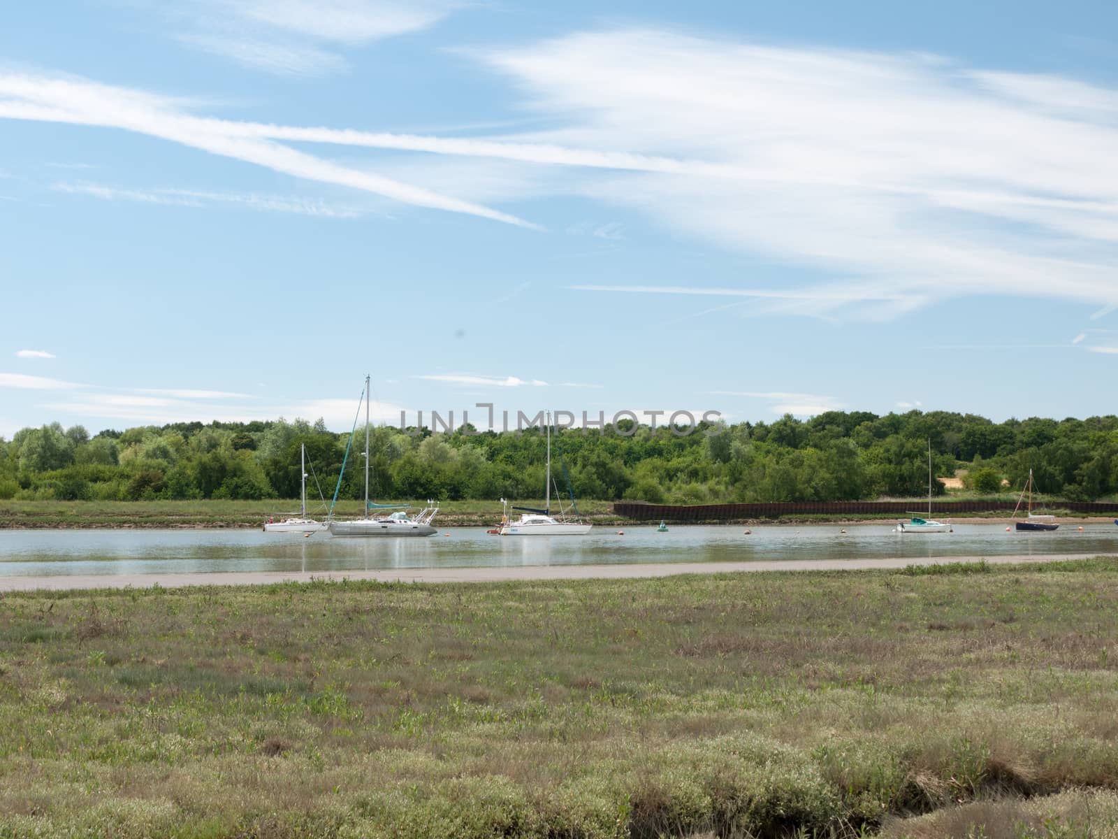 a river on a sunny day from the side with boats moored and moving on it