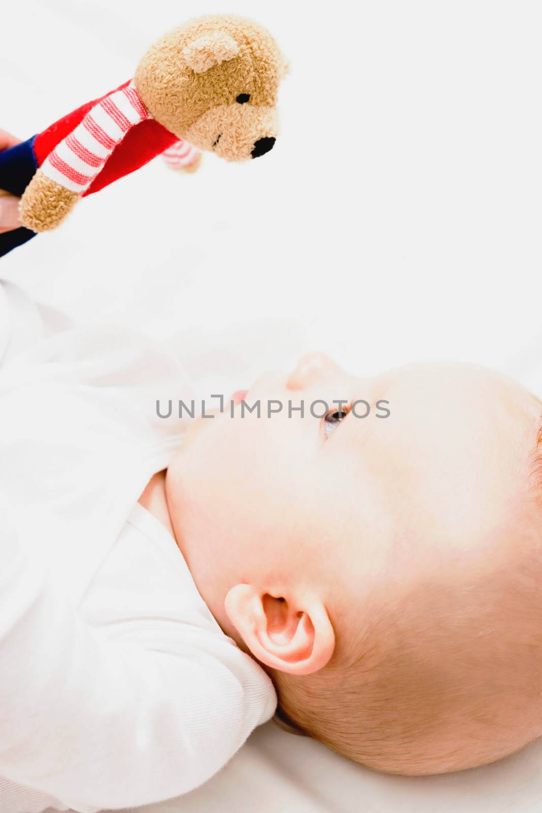 Baby looking up teddy bear