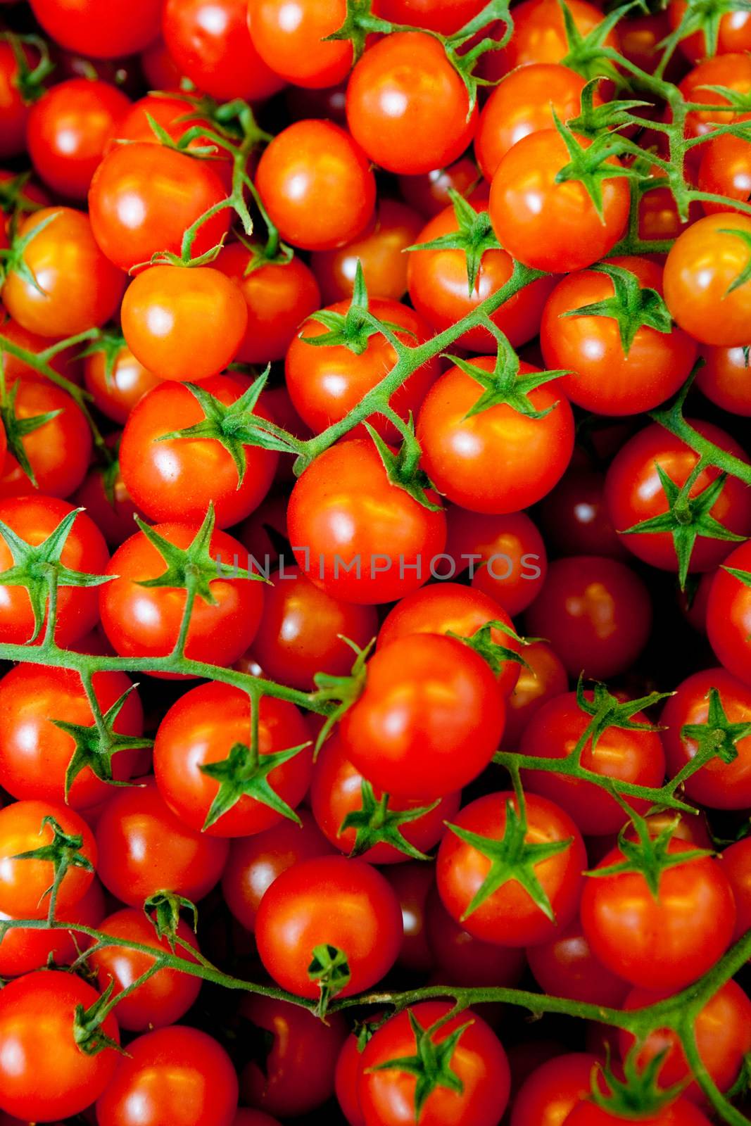 fresh vine tomatoes