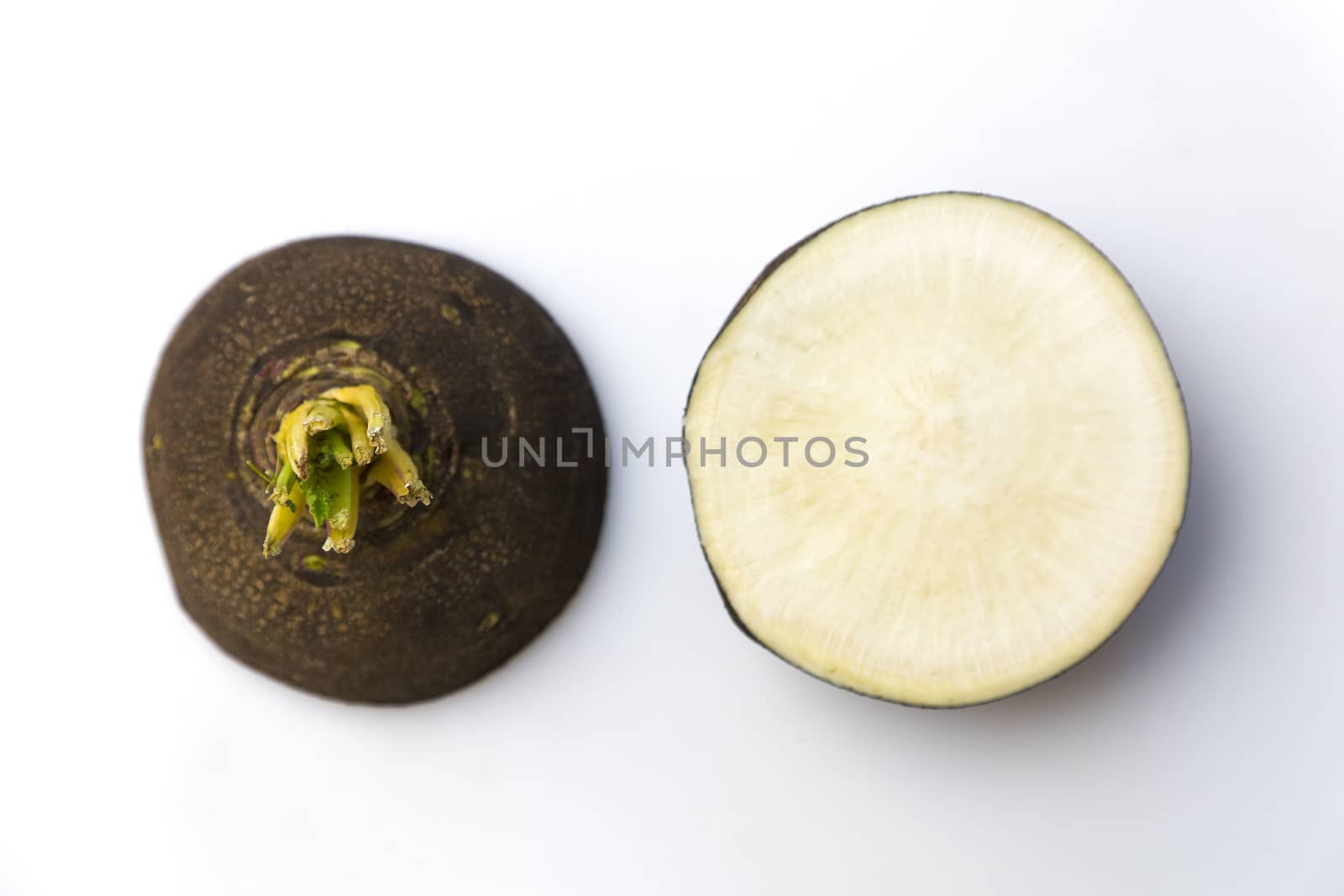 Black Spanish Radish on white, top view. Black Radish top view cut in half.