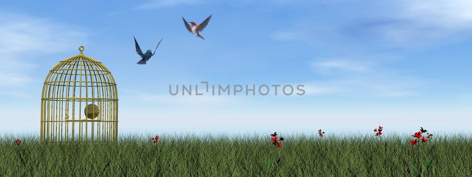 Two hummingbirds flying out of the cage by day - 3D render