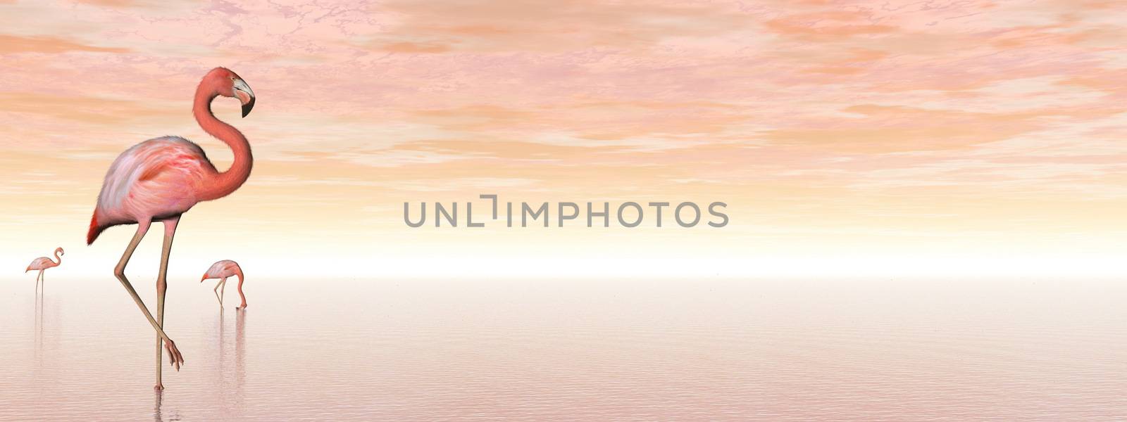 Pink flamingos standing in the water by sunset - 3D render