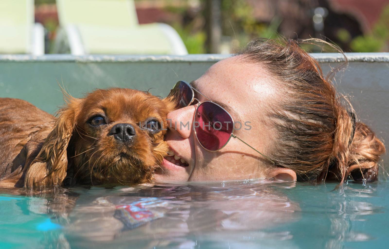 cavalier king charles and girl  in swimming pool by cynoclub