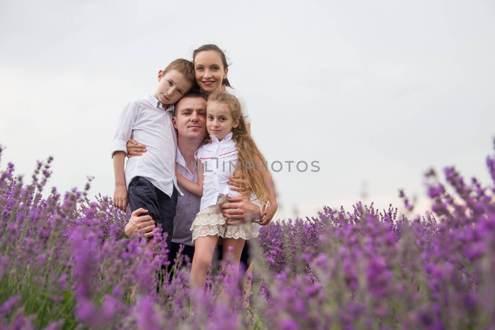 Happy family of four in lavender field by Angel_a