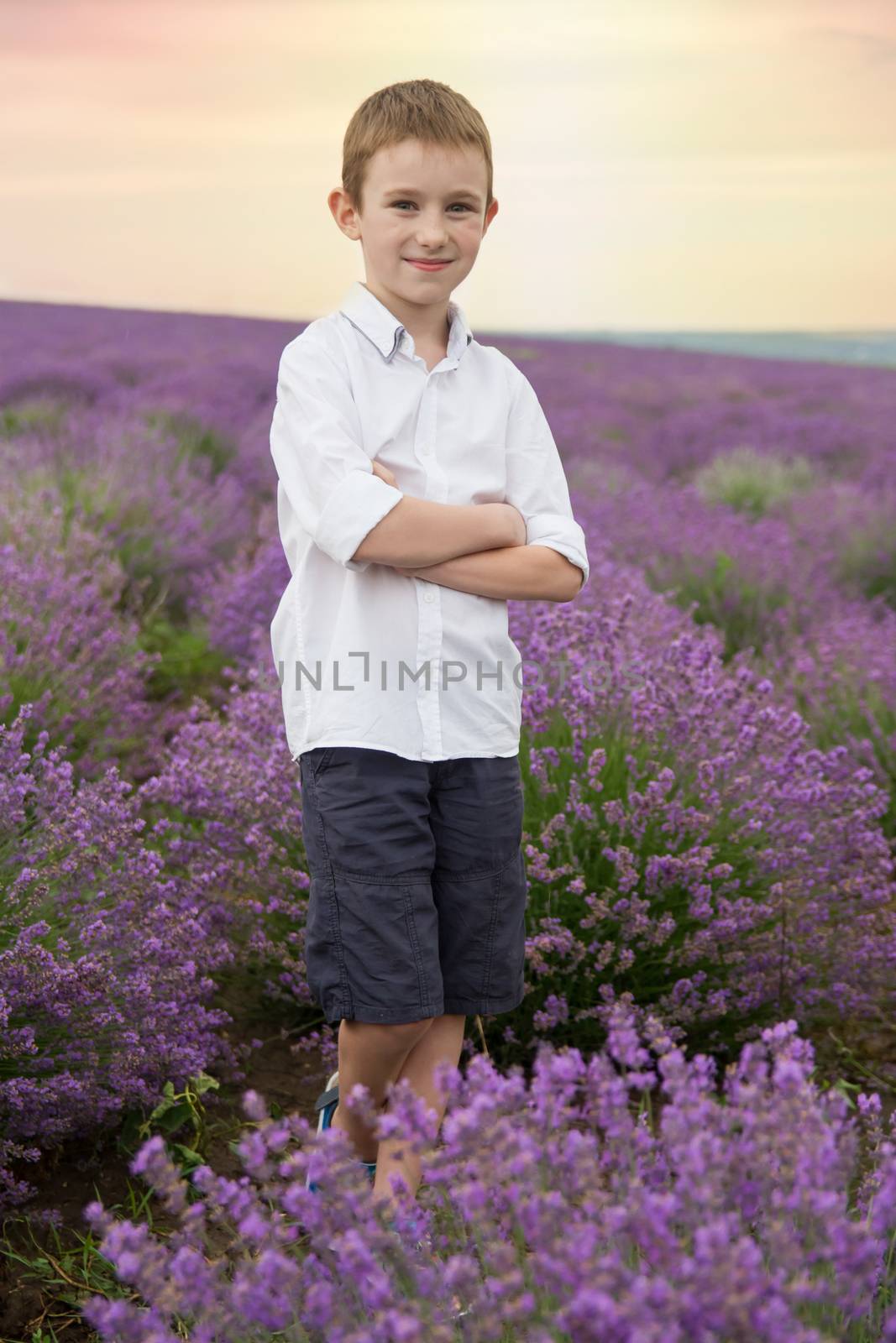 Cute smiling boy in avender field sunset