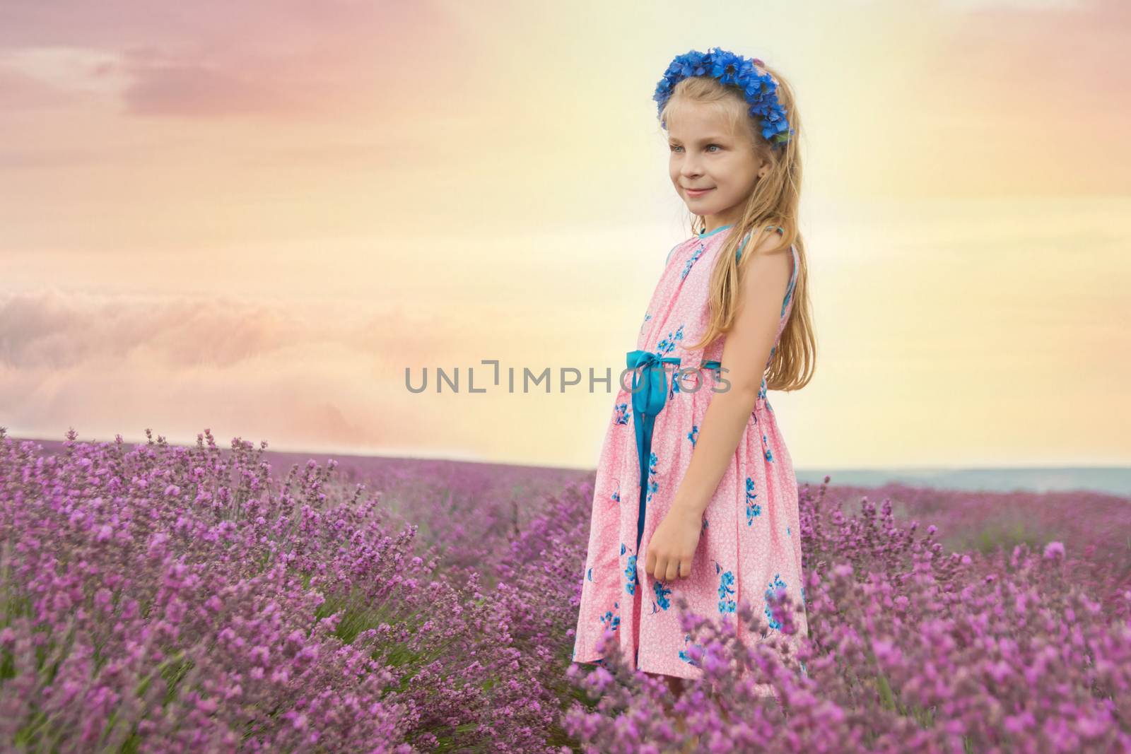 Girl among lavender fields at sunset