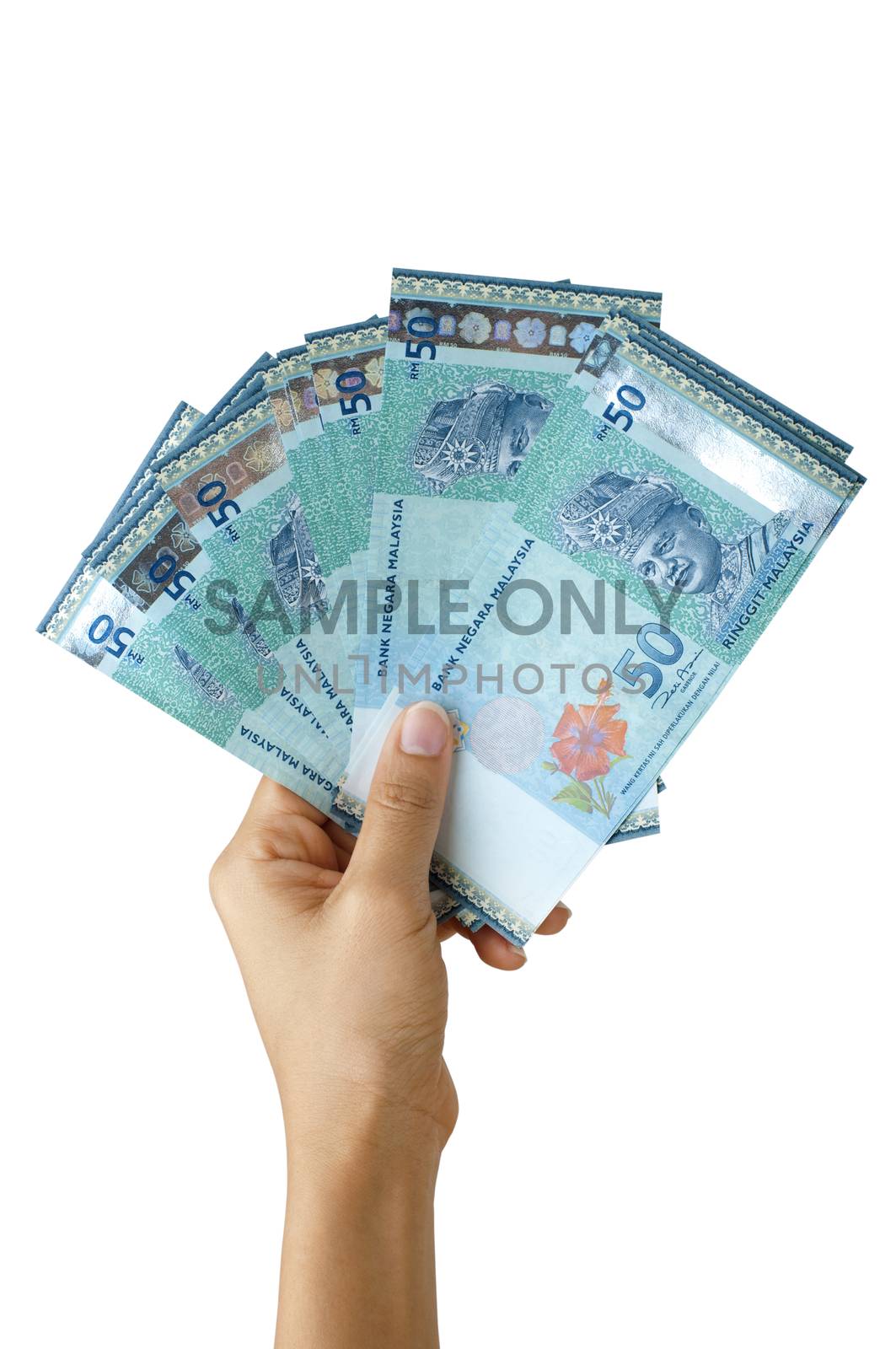 Malaysian currency, hand holding hundreds ringgit Malaysia, isolated on white background.