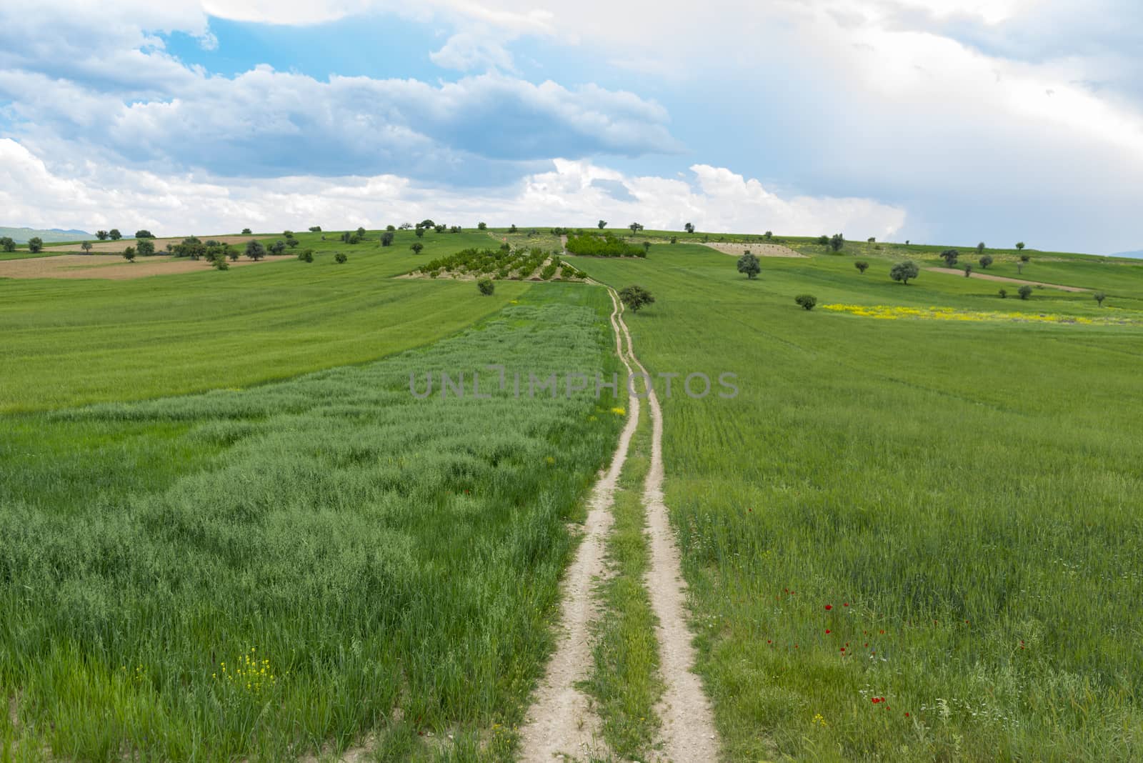 Long fine roads in agricultural land