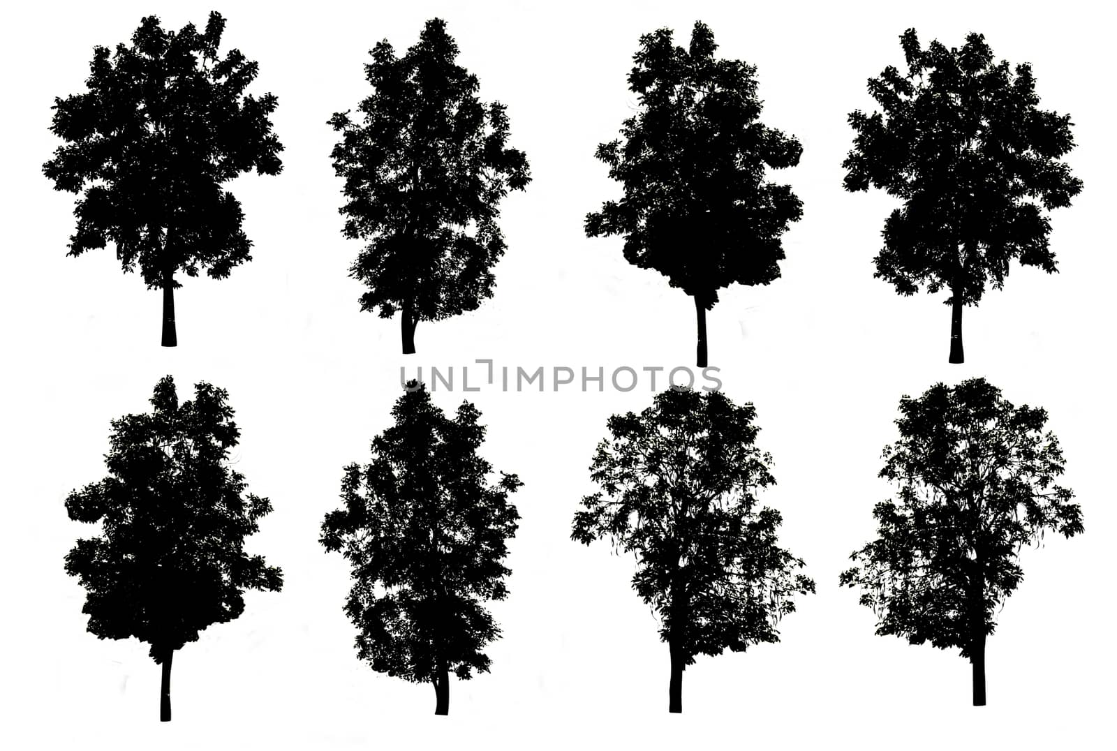 set of eight trees silhouettes isolated on white background with by rakoptonLPN