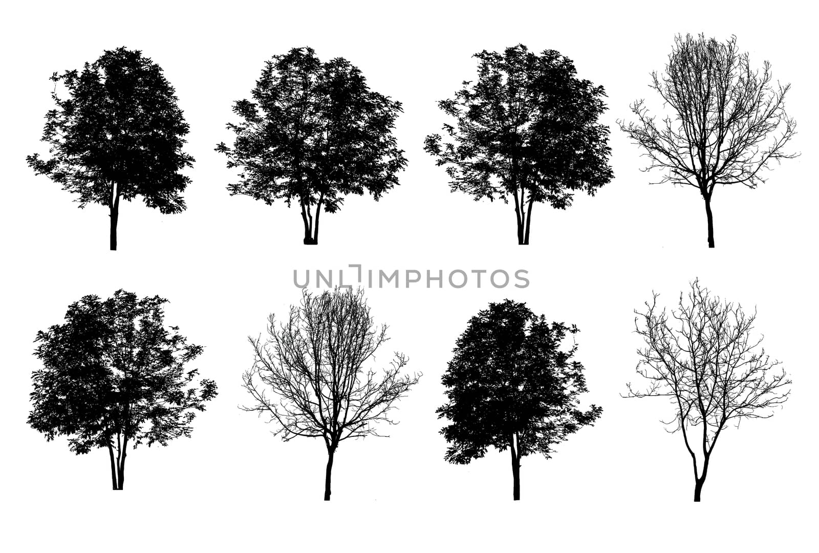 set of eight trees silhouettes isolated on white background