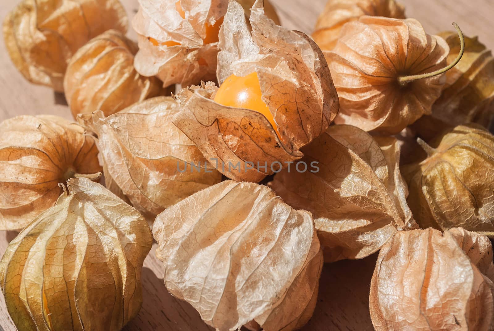 Cape gooseberry (Physalis) on wooden table, healthy fruit and vegetable