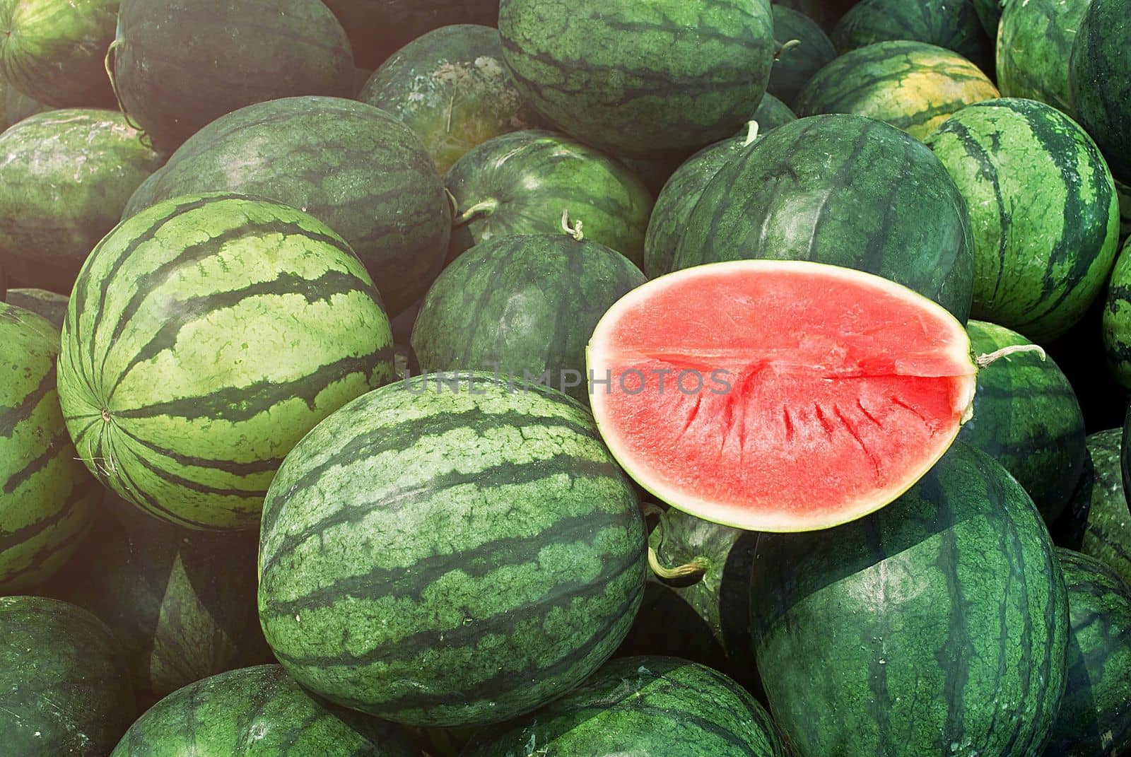 Many big sweet green watermelons and one cut watermelon