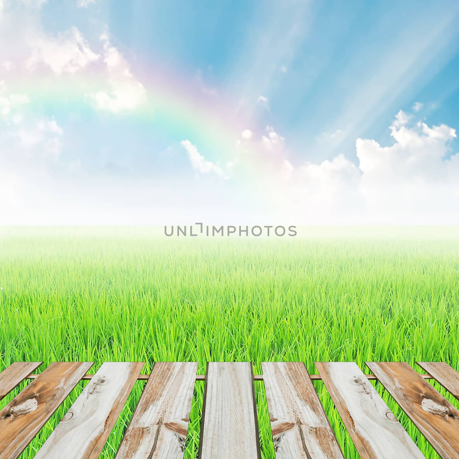 old wooden and field on a background of the blue sky with rainbow