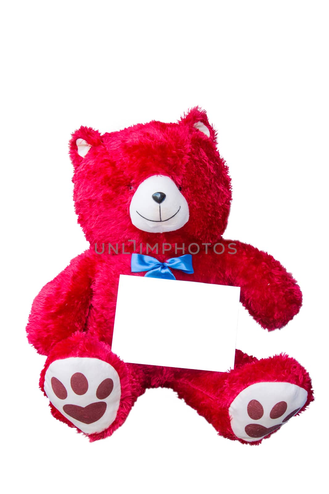 A red bear doll and blue ribbon with white paper on isolated white background