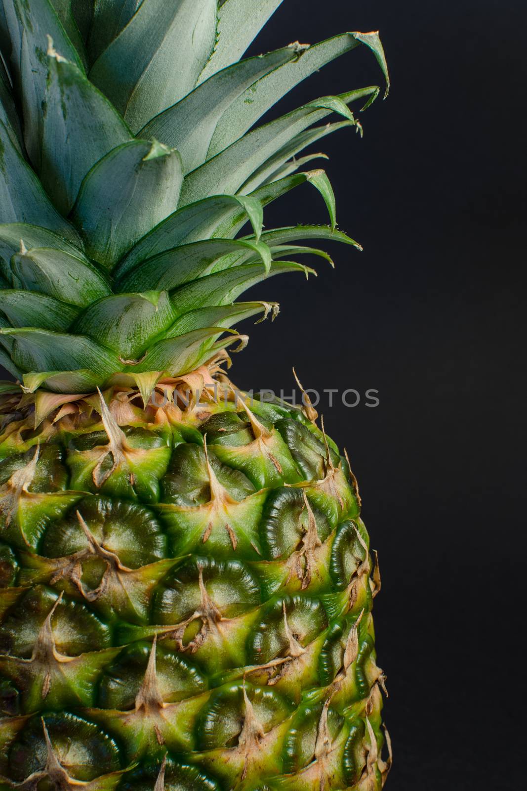 pineapple fruit close up, black background by mirekpesek