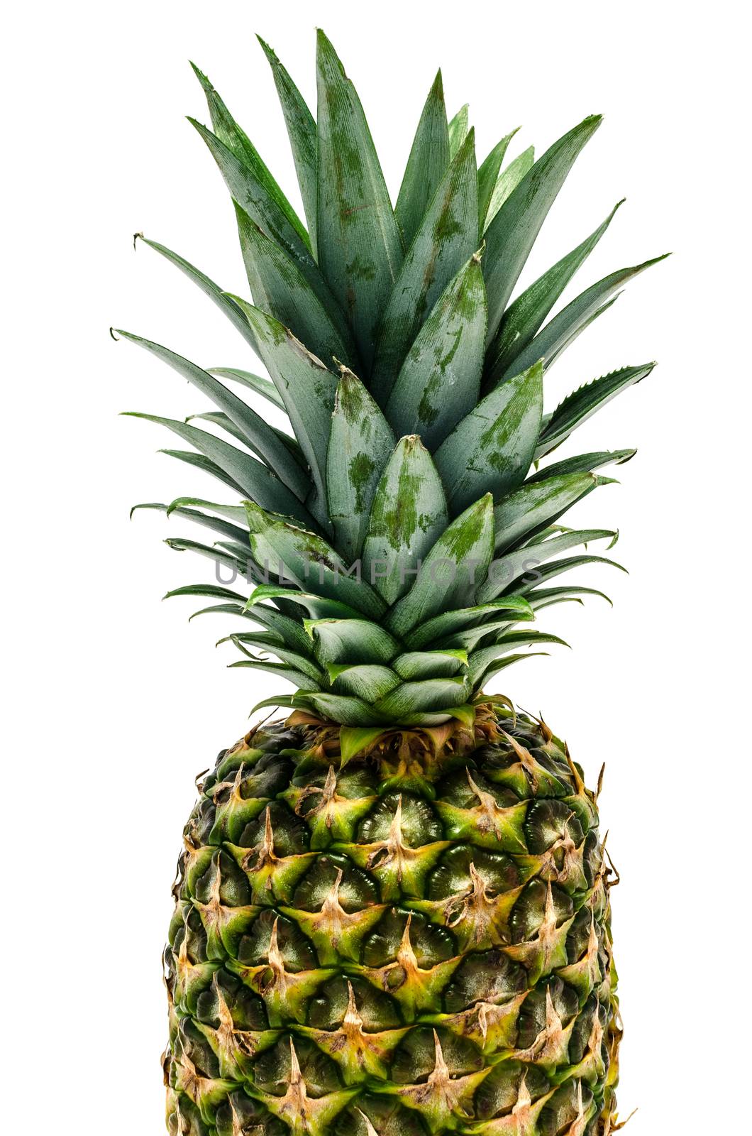 fresh pineapple fruit by mirekpesek