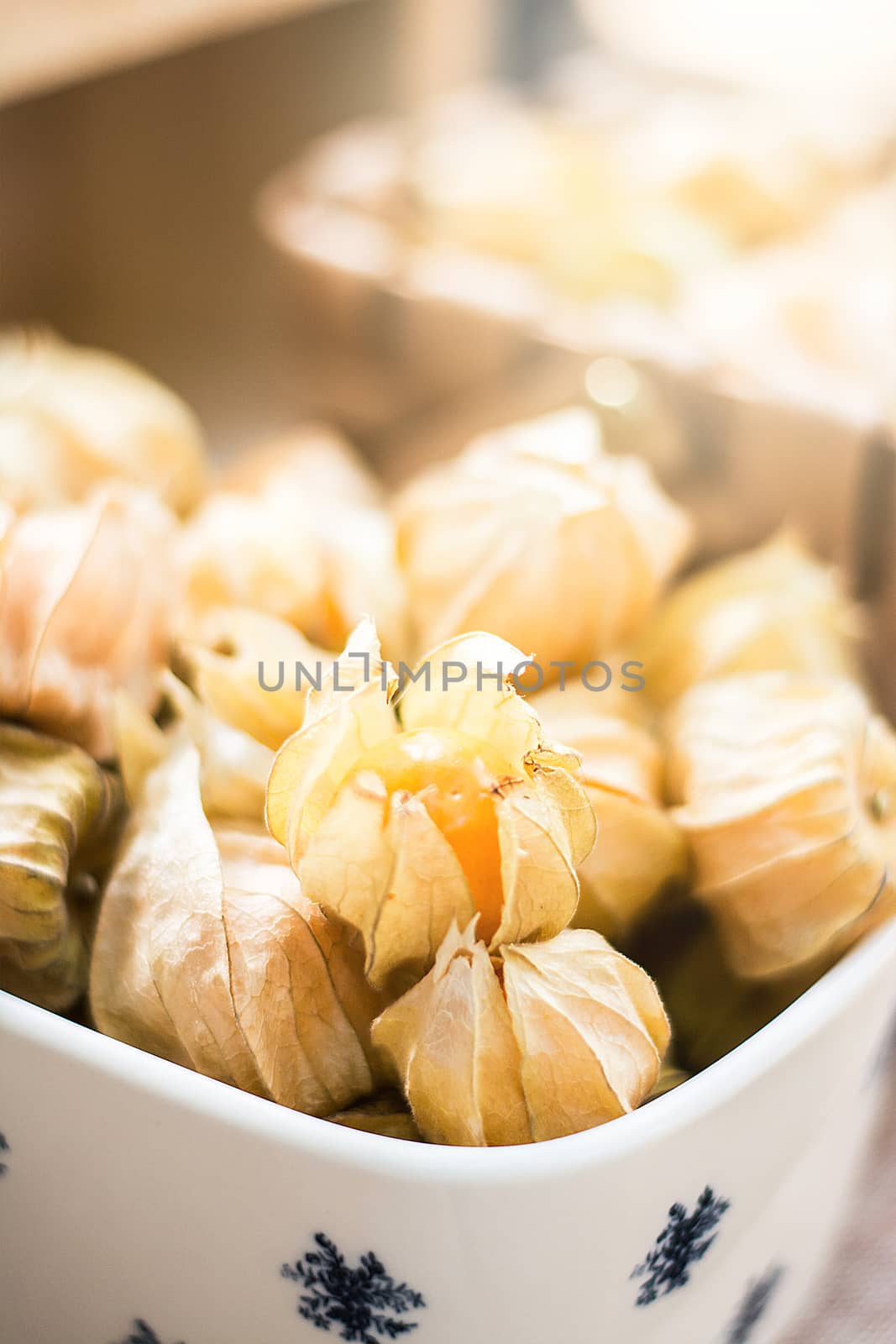 Closeup of Cape gooseberry (Physalis), healthy fruit and vegetable
