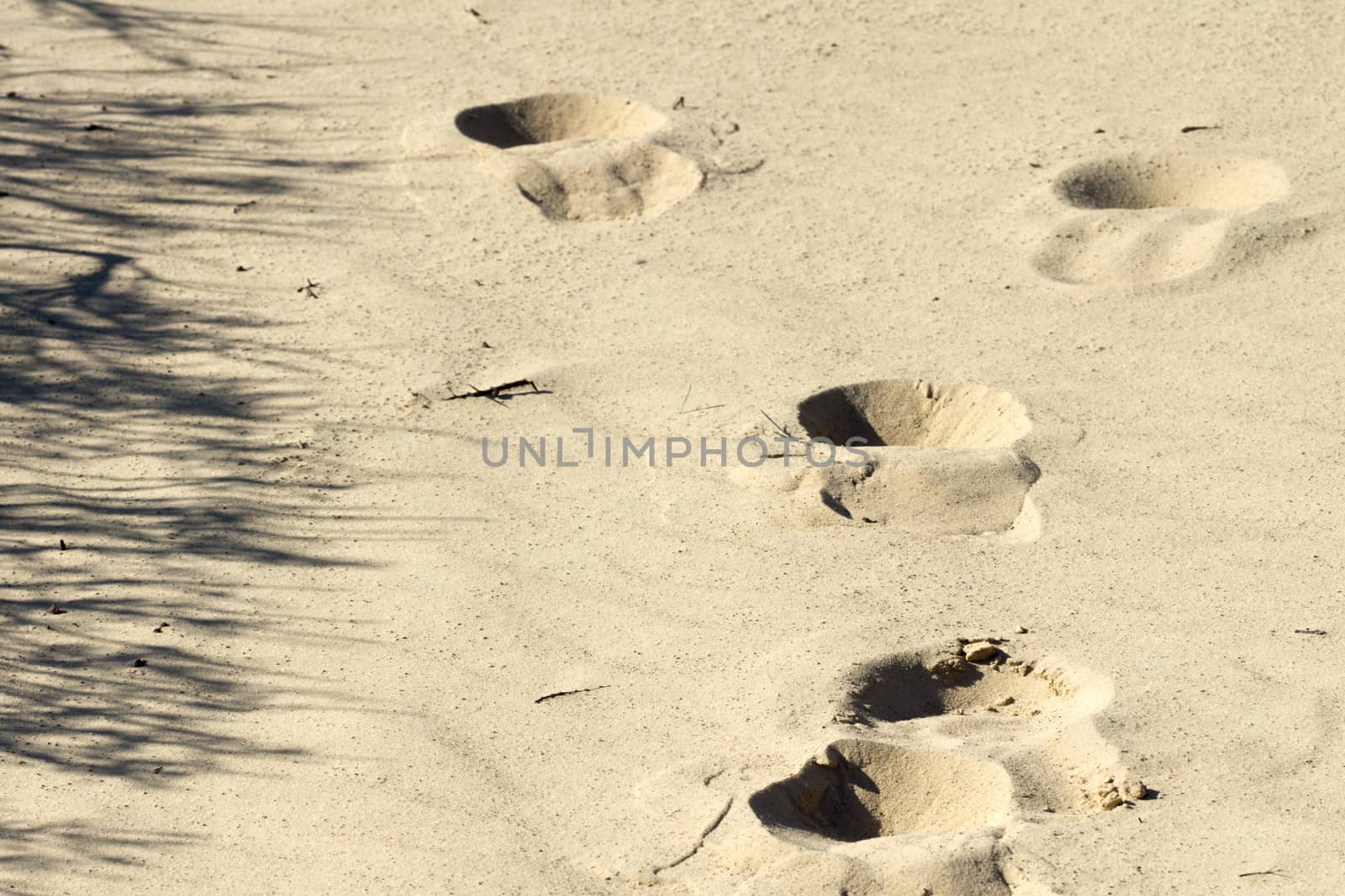 Footprints on yellow sand by Fr@nk