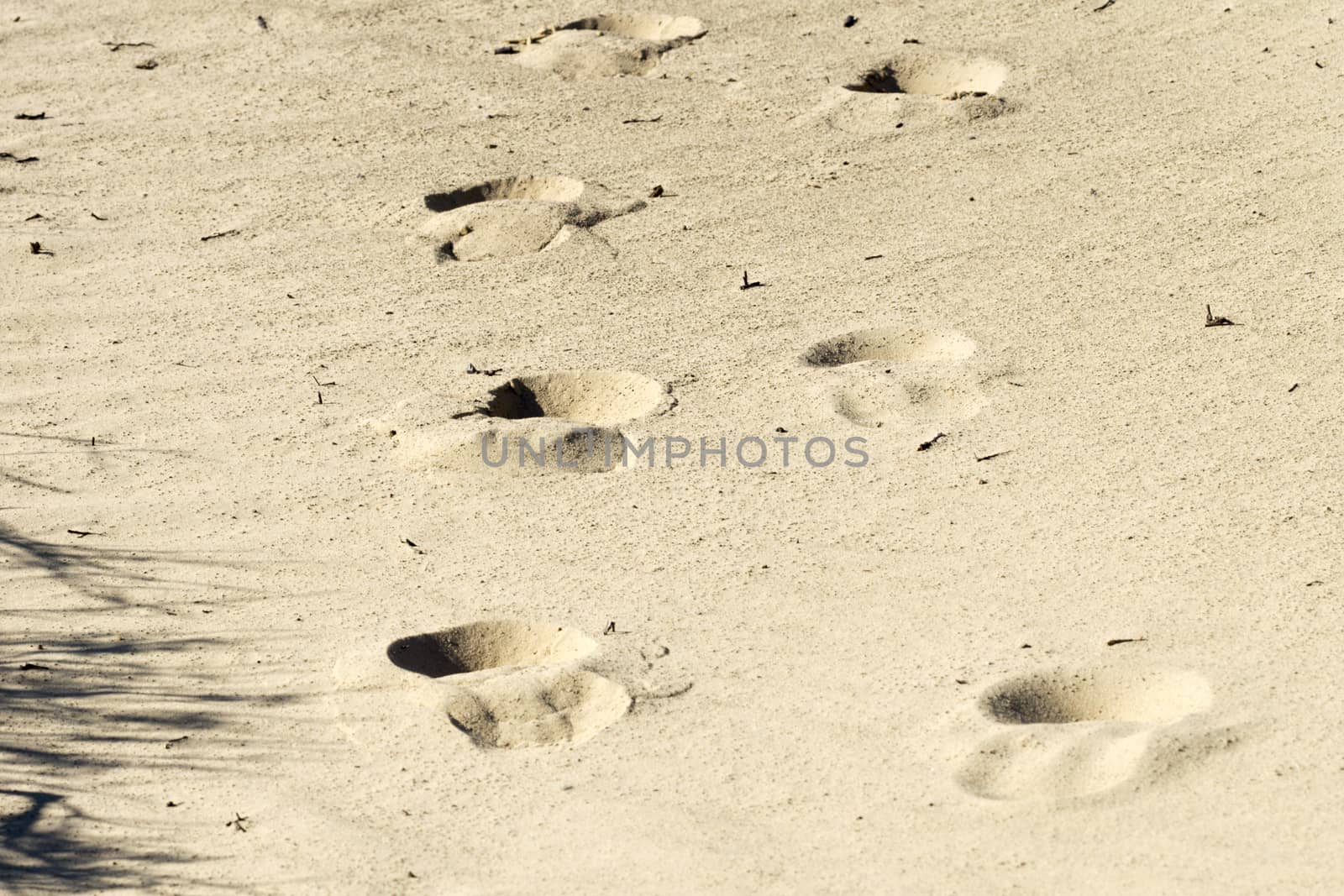 Footprints on yellow sand horizontal image