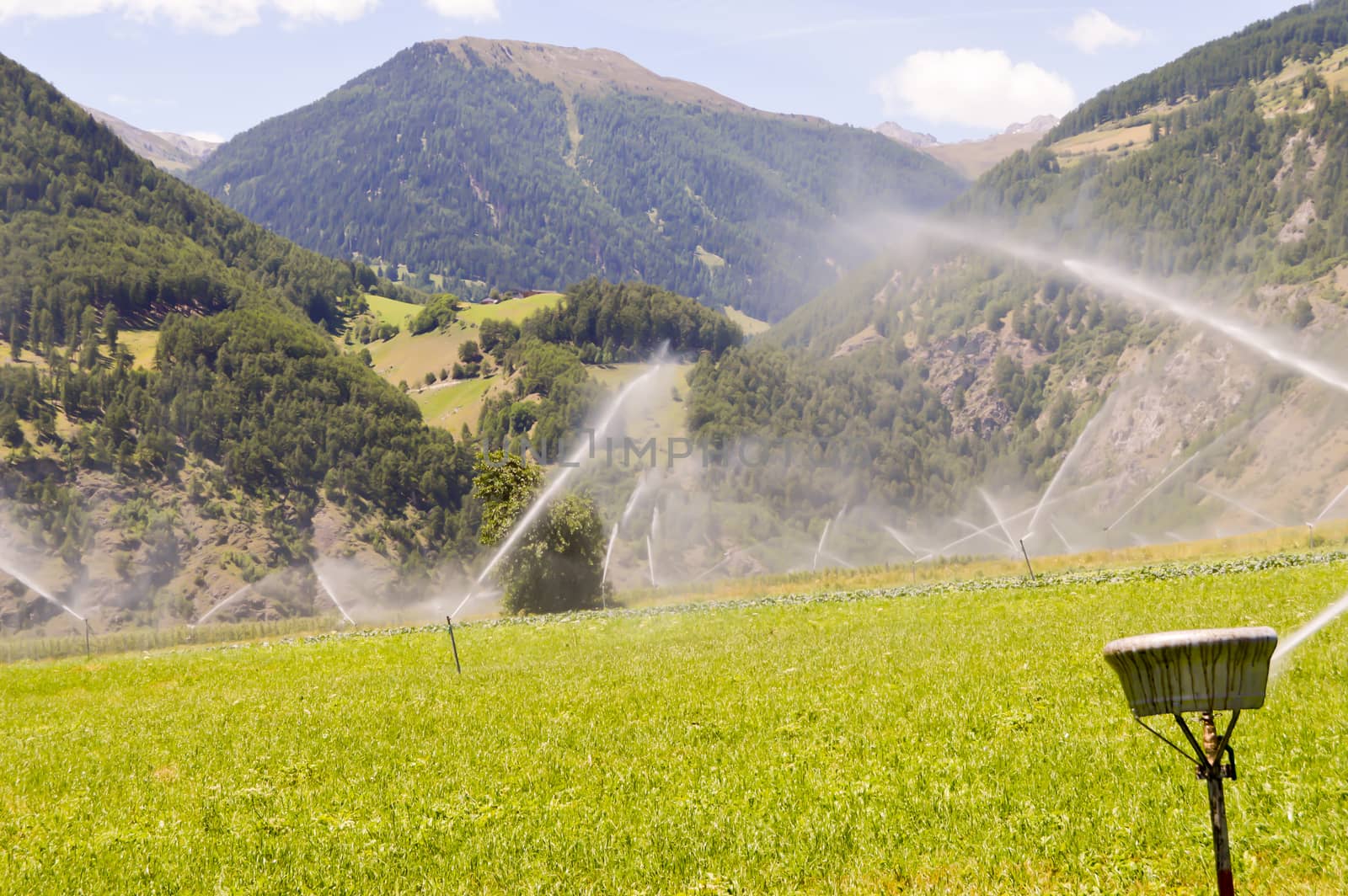 Automatic irrigation of crop fields in dolomites in Italy