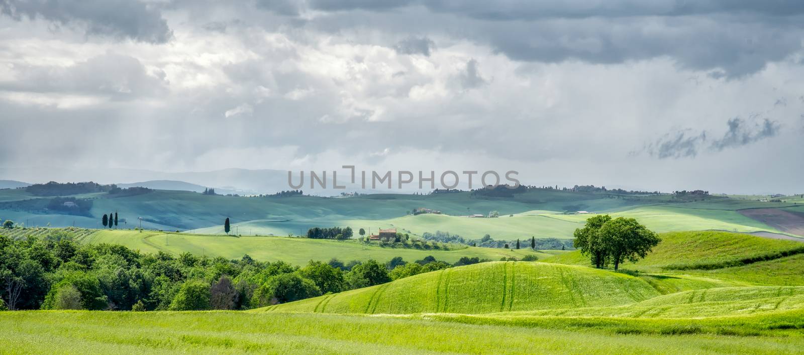 Farmland in Val d'Orcia Tuscany by phil_bird