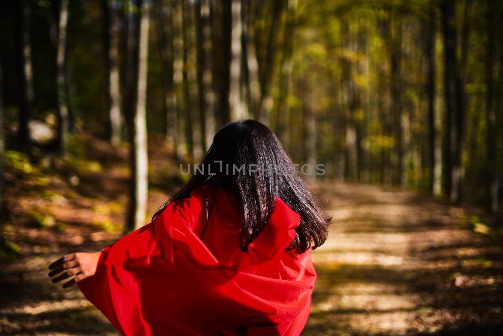 Little Red Riding Hood whit wolf shadow in the woods
