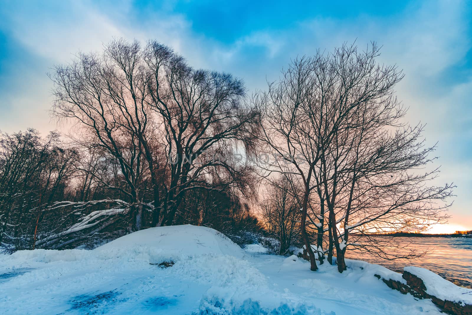 Cold winter snowy landscape at middle of the day