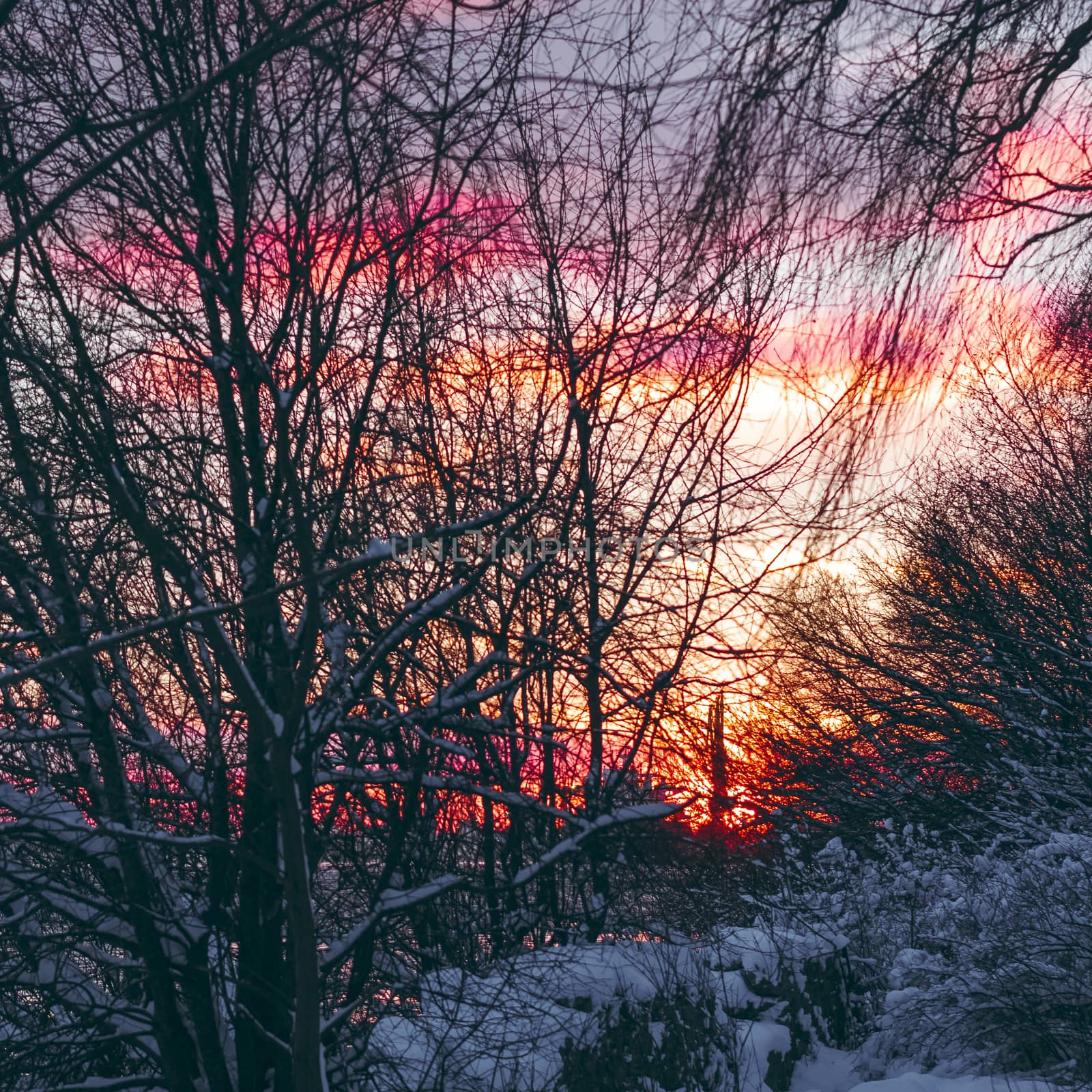 Colorful winter sunrise with purple and orange clouds